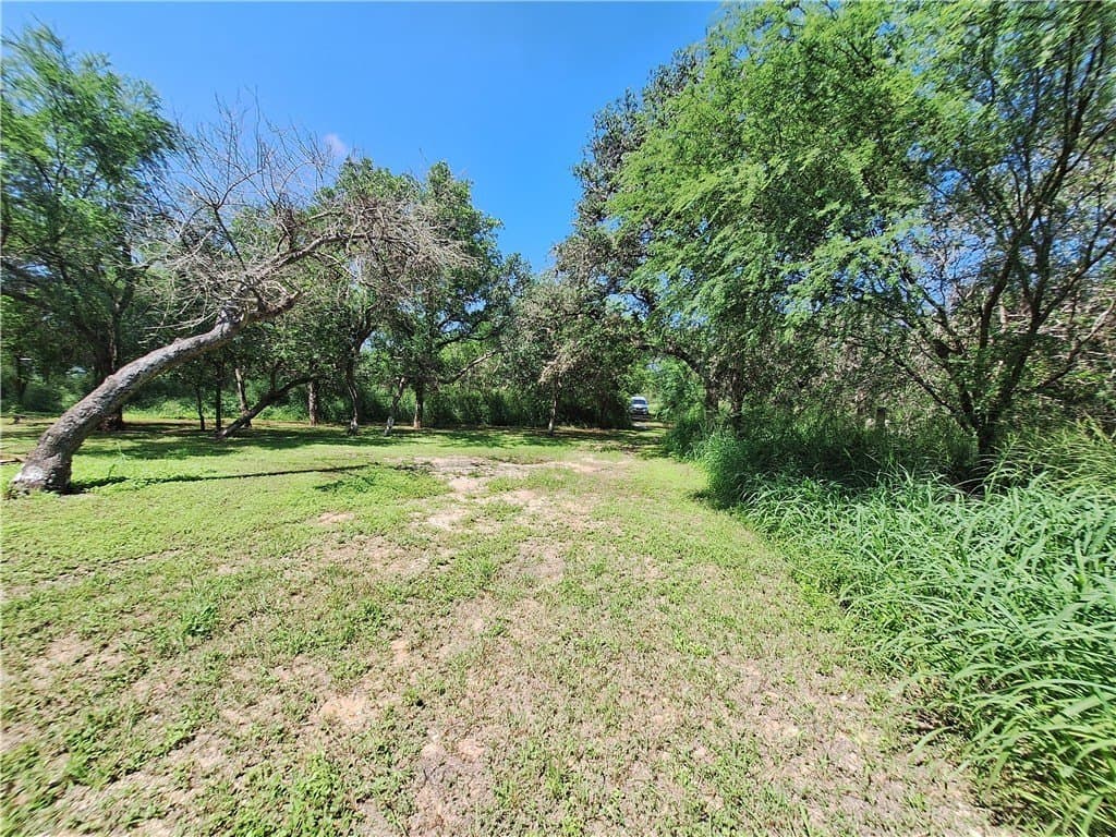 0.25 acres in Nueces County - photo 11