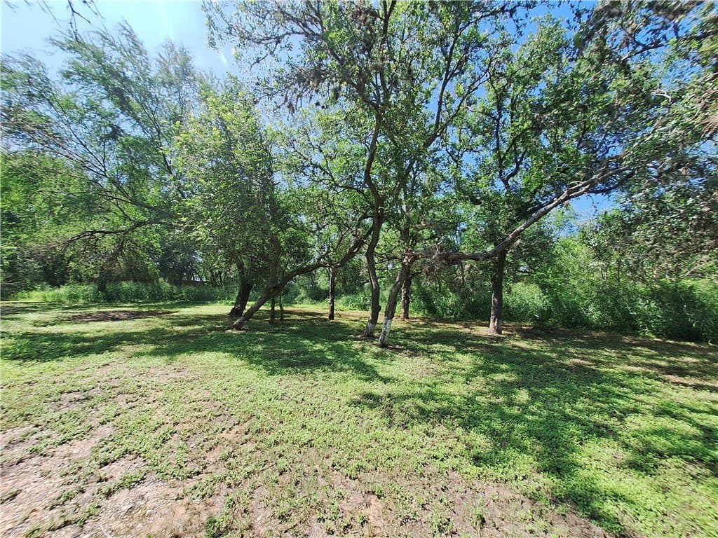 0.25 acres in Nueces County - photo 12