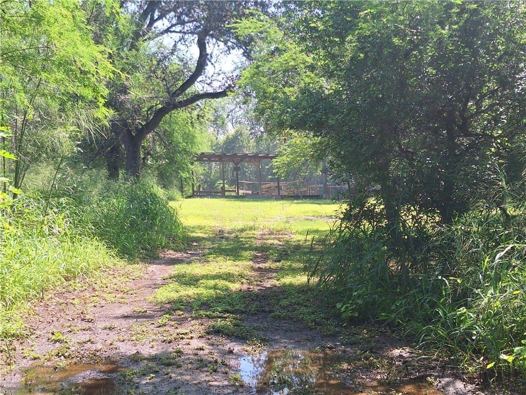0.25 acres in Nueces County - photo 17
