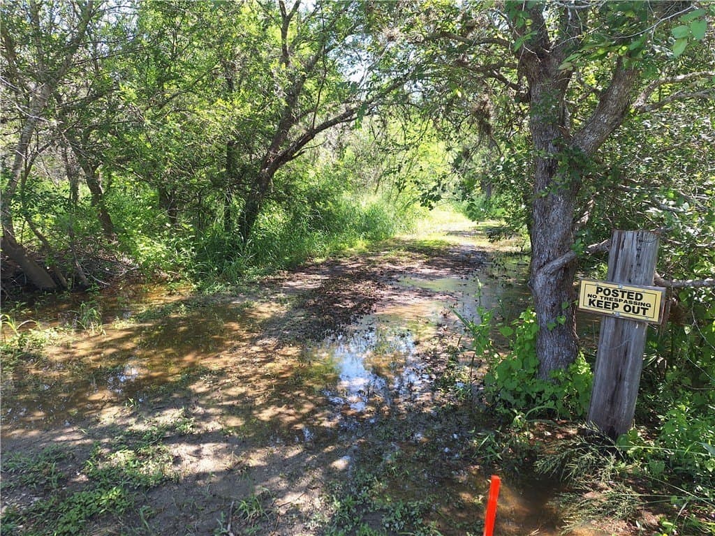 0.25 acres in Nueces County gallery image 2