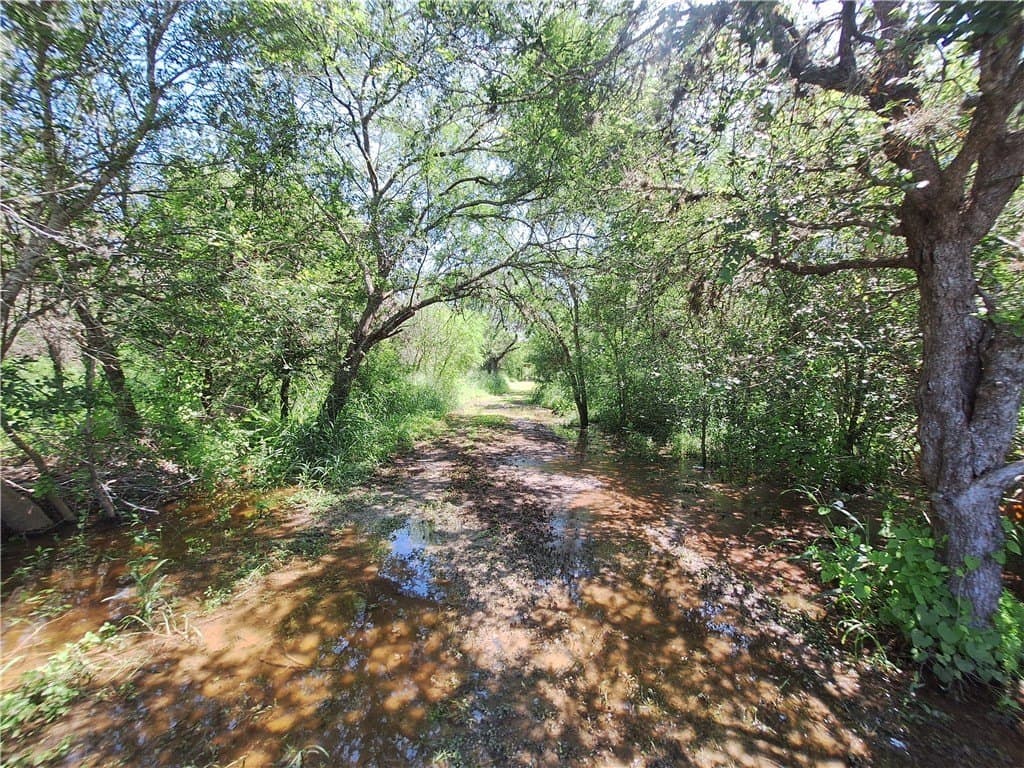 0.25 acres in Nueces County - photo 14
