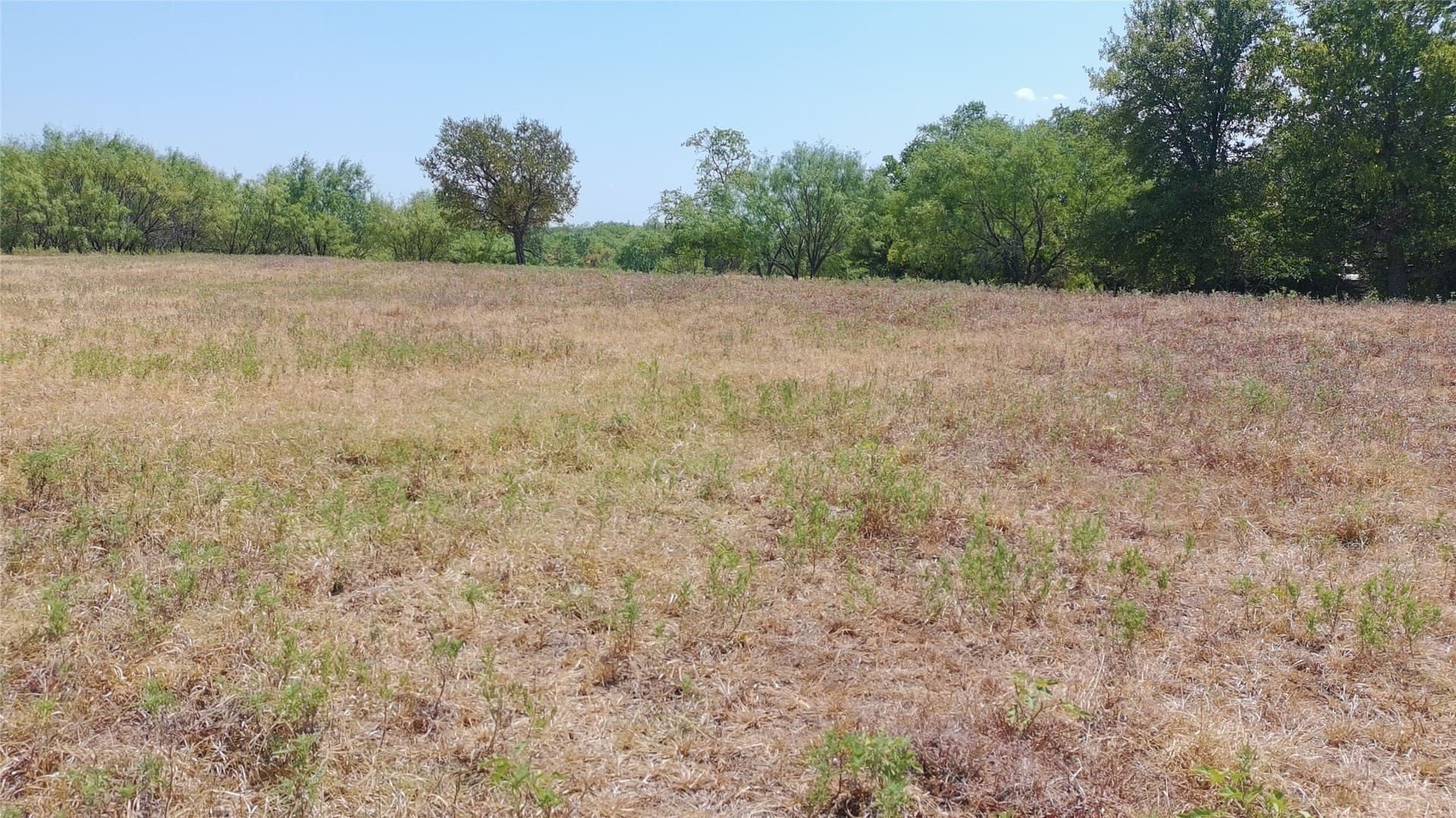 18.53 acres in Parker County - photo 5