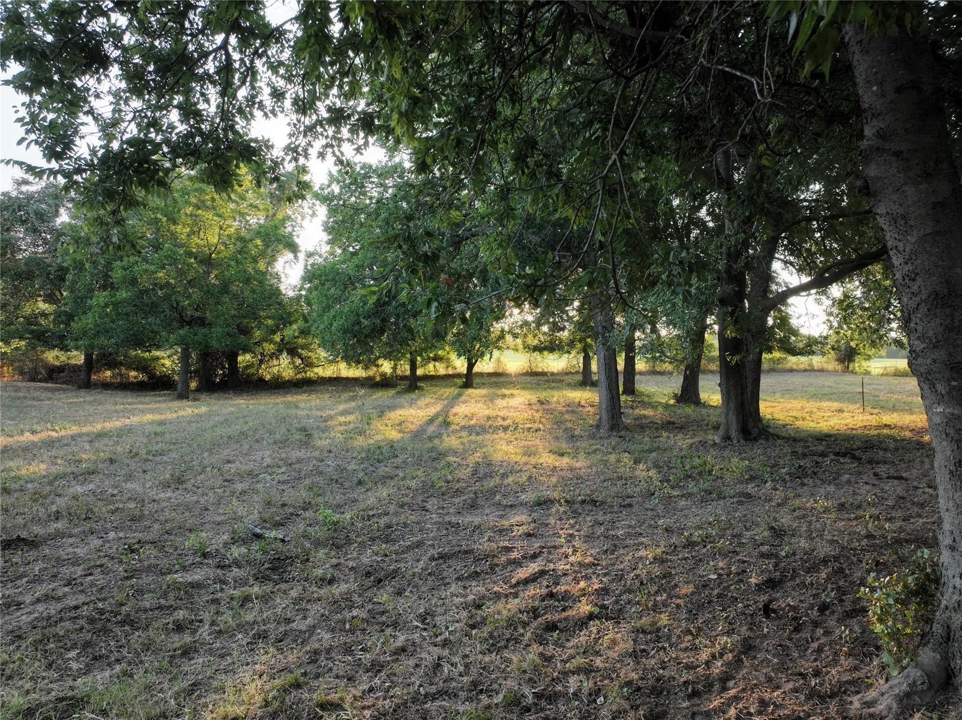 18.53 acres in Parker County - photo 12