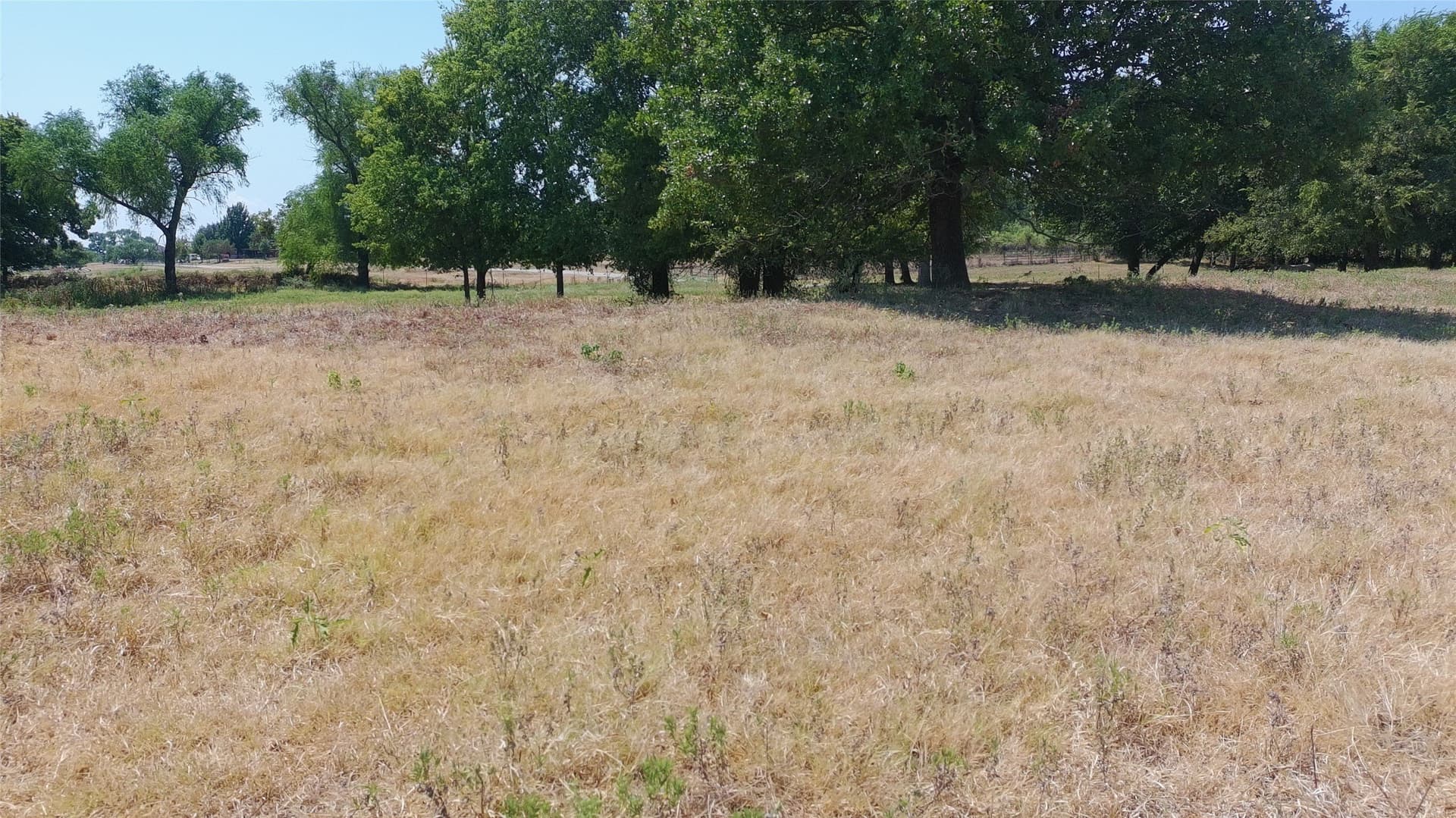 18.53 acres in Parker County - photo 8
