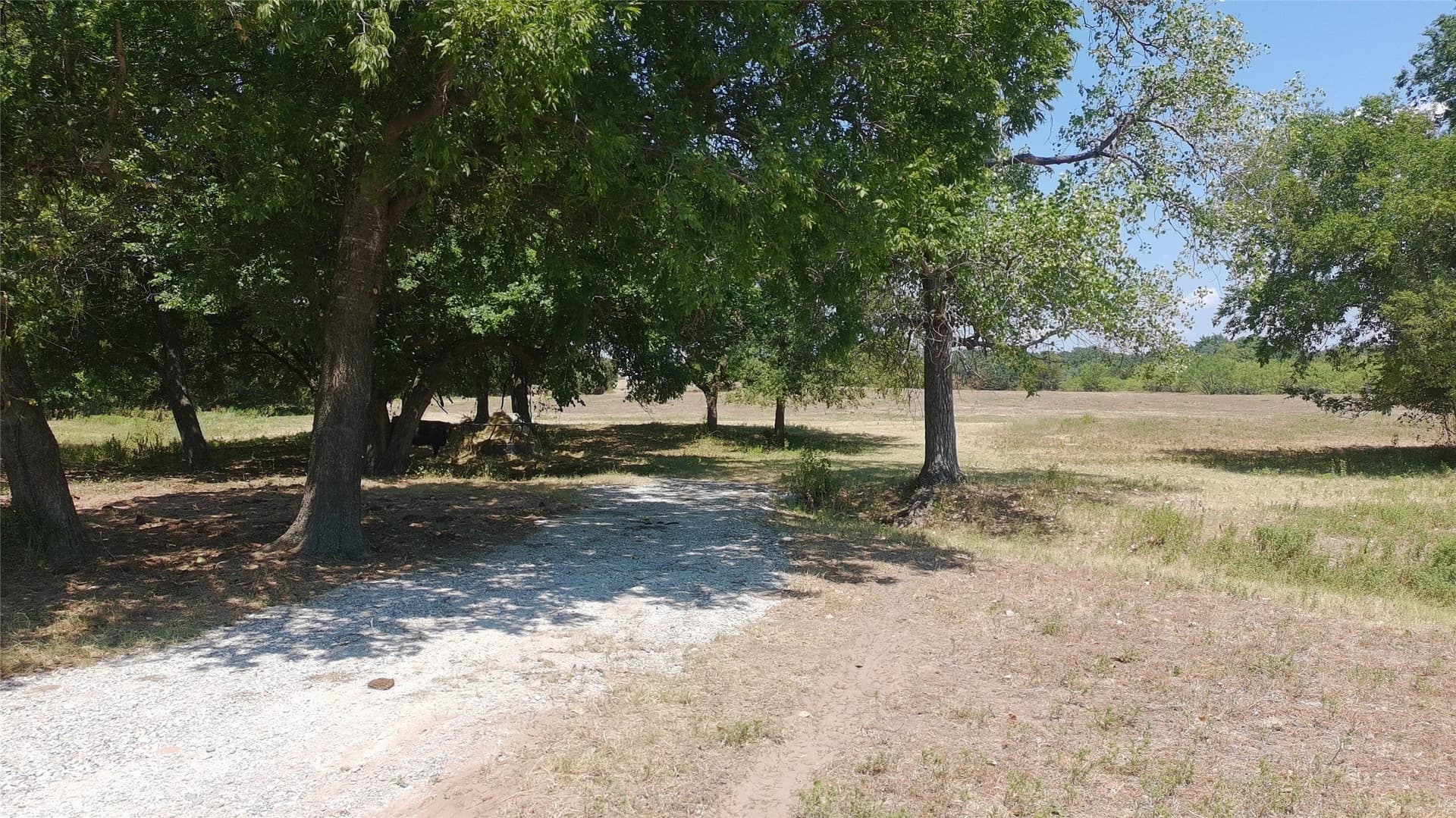 18.53 acres in Parker County - photo 4