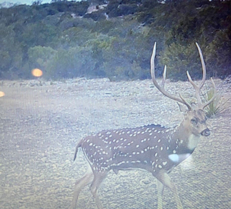 162 acres in Edwards County gallery image 3