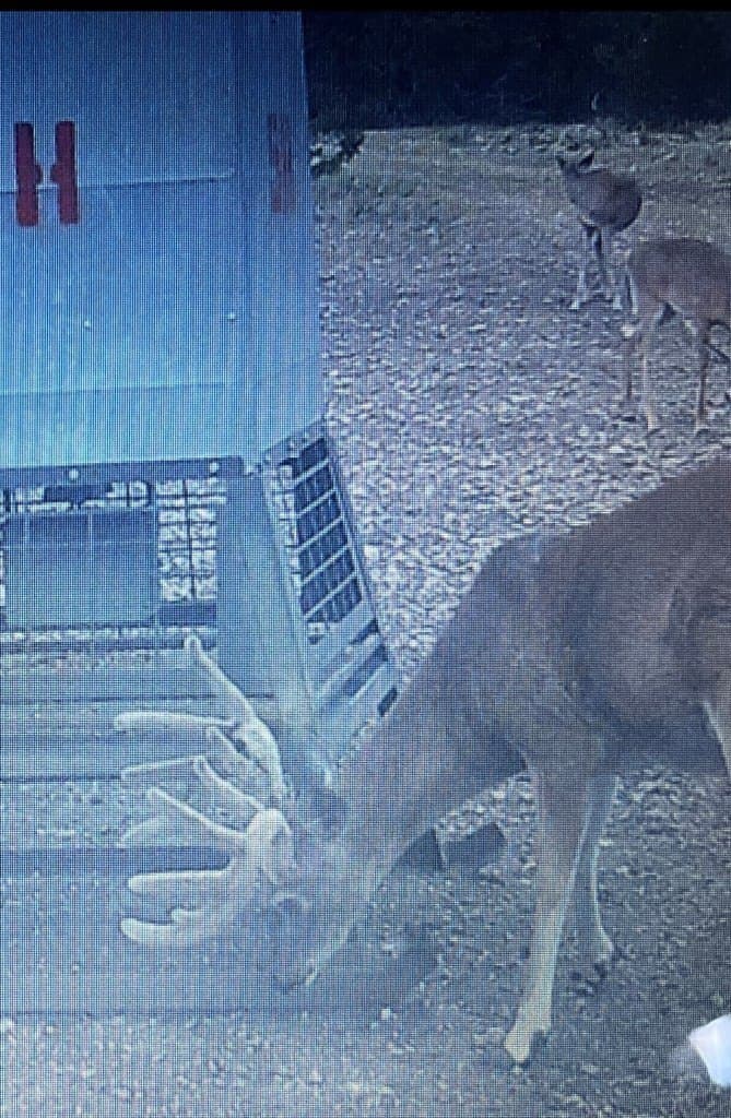 162 acres in Edwards County gallery image 2