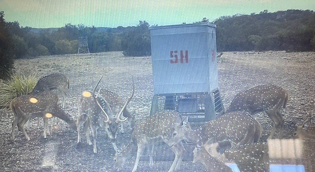 162 acres in Edwards County gallery image 4