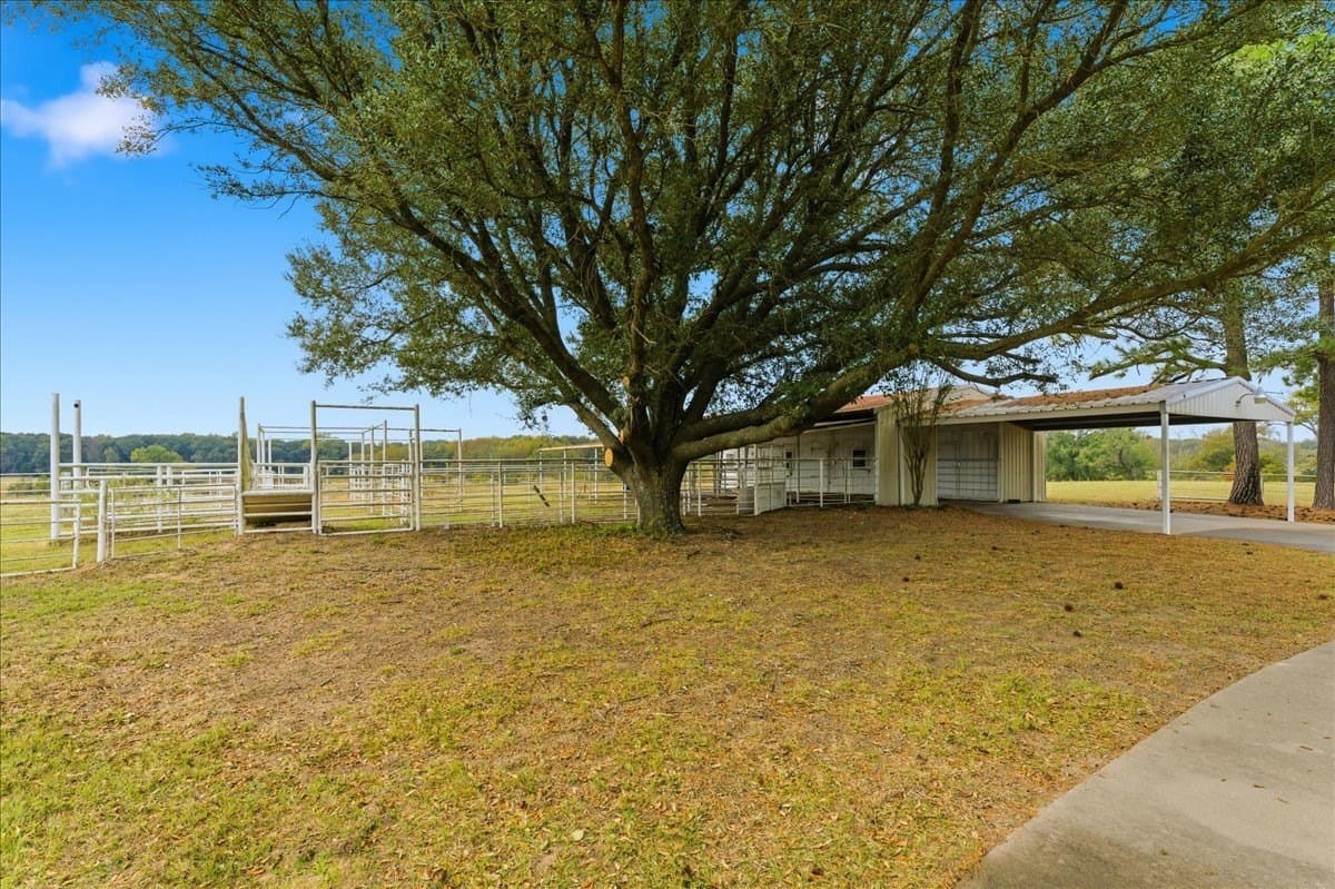 78 acres in Hopkins County - photo 31