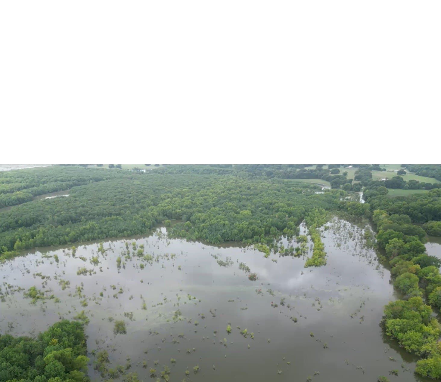 24.08 acres in Fannin County - photo 21