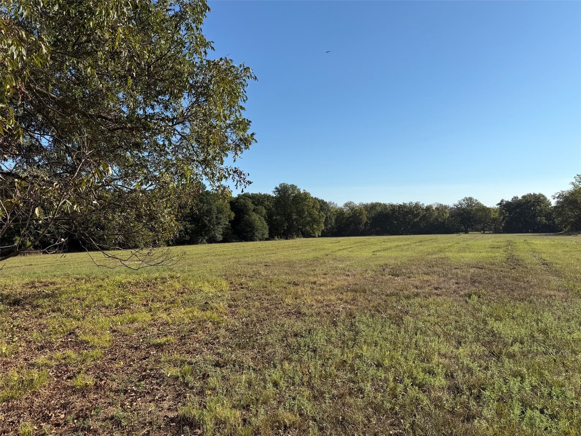 24.08 acres in Fannin County - photo 7