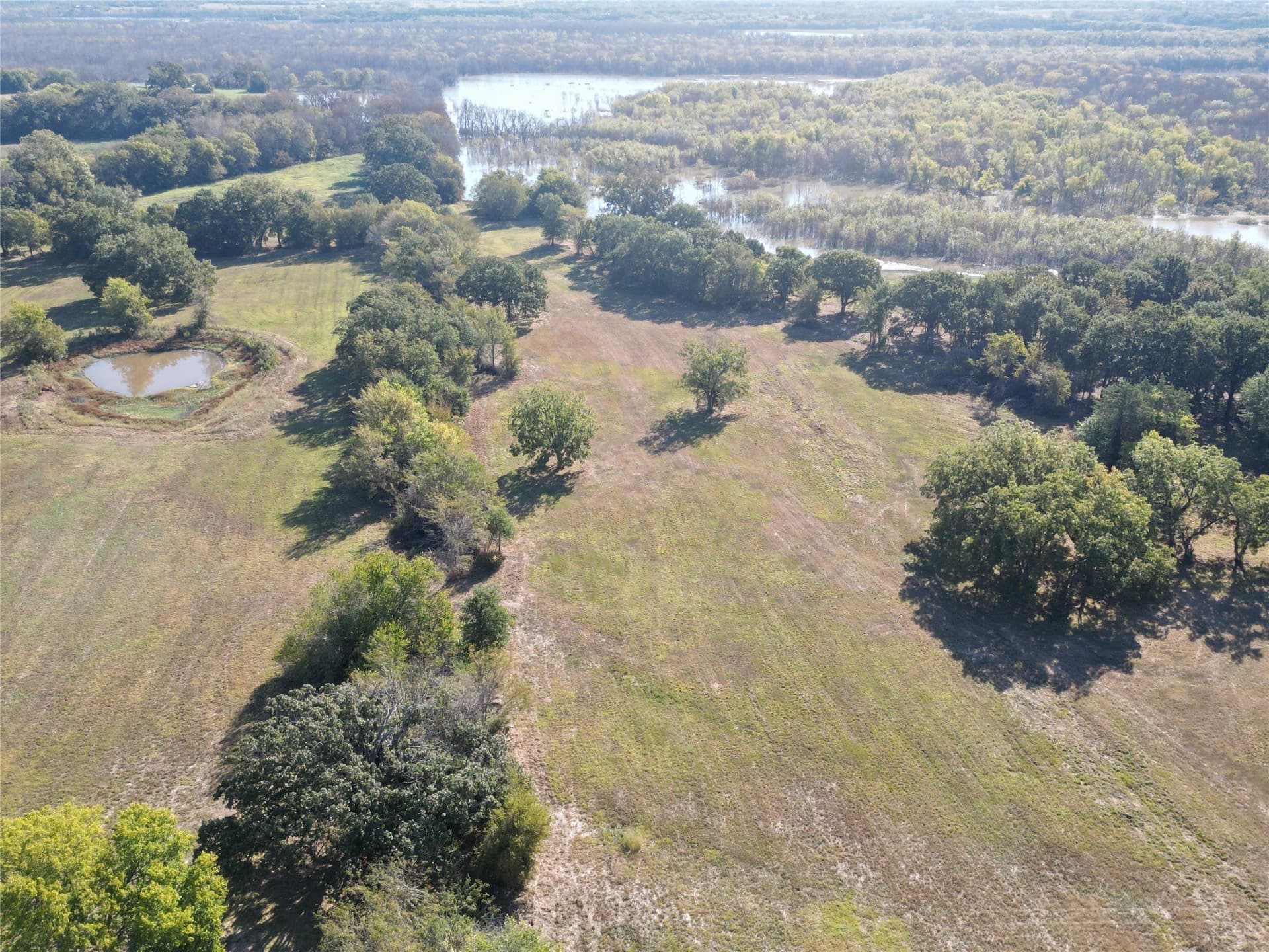 24.08 acres in Fannin County - photo 12