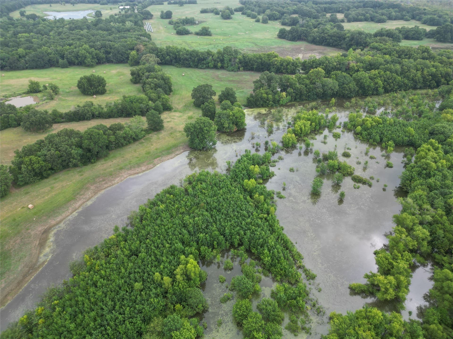 24.08 acres in Fannin County - photo 16