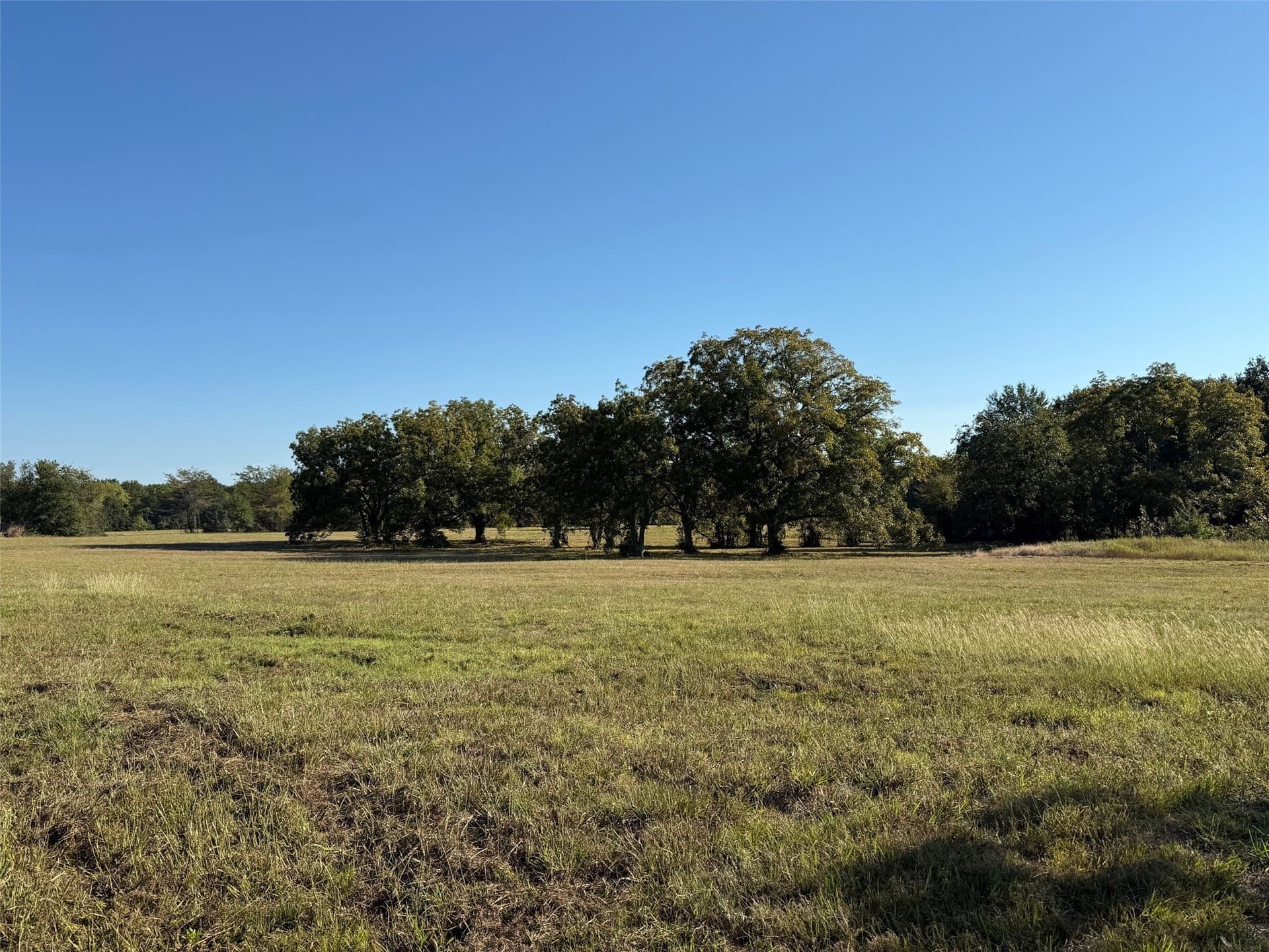 24.08 acres in Fannin County gallery image 3