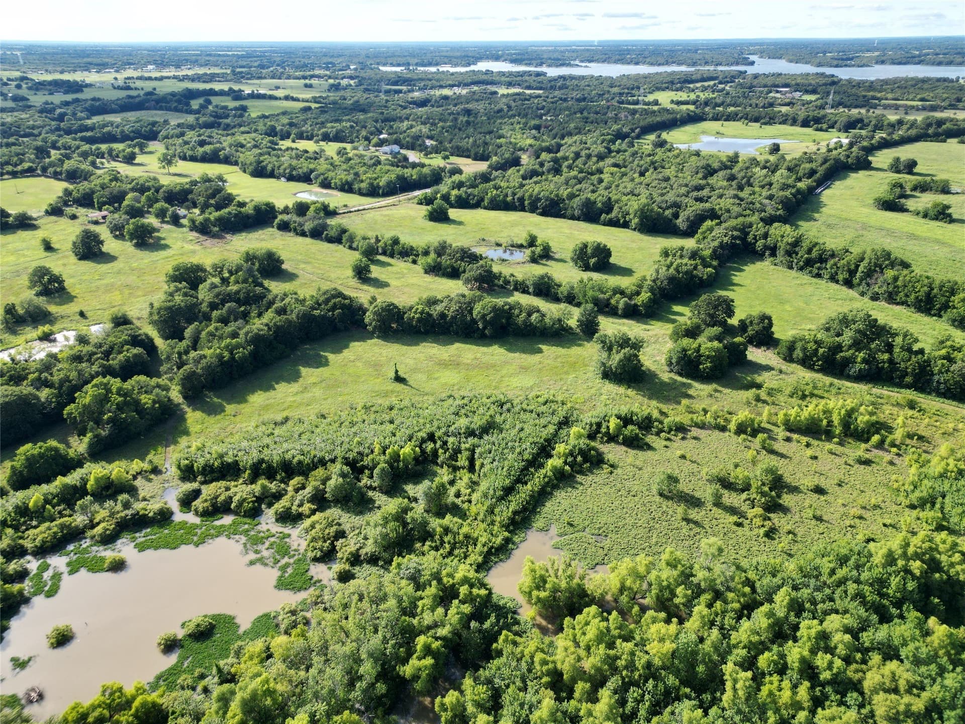 24.08 acres in Fannin County - photo 13