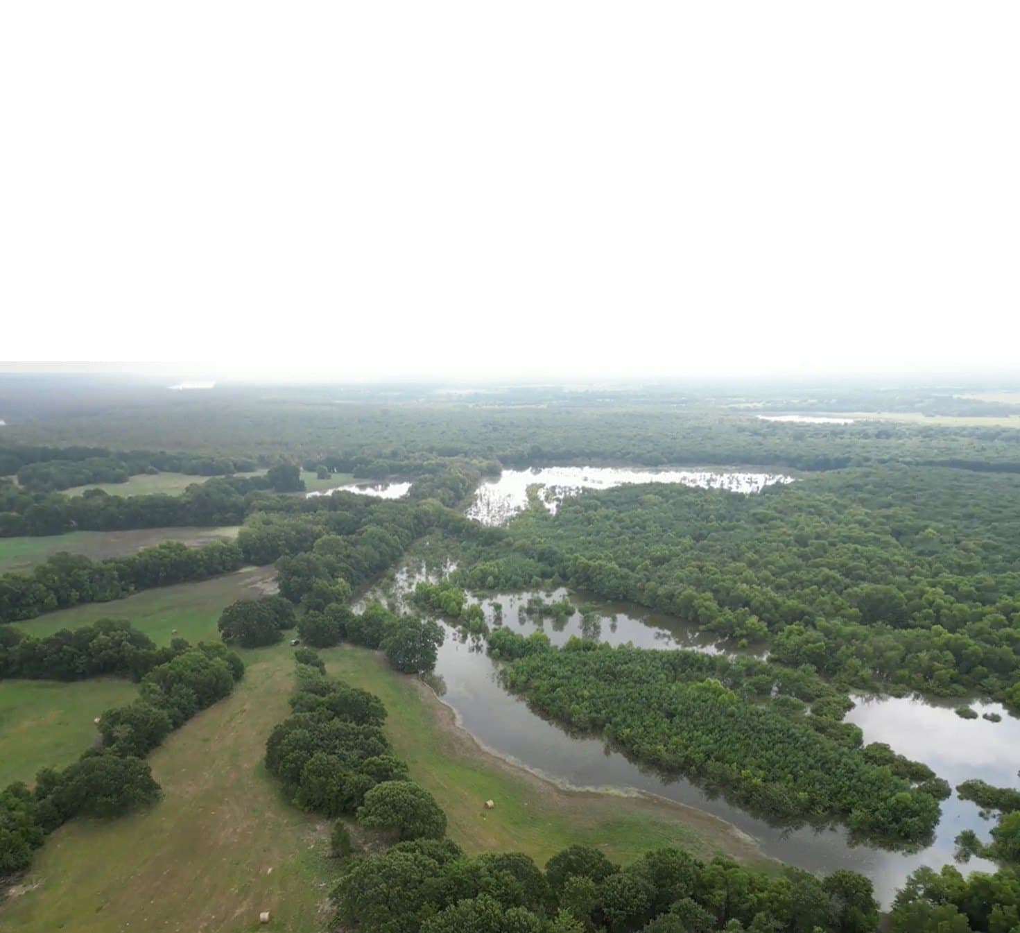 24.08 acres in Fannin County - photo 23