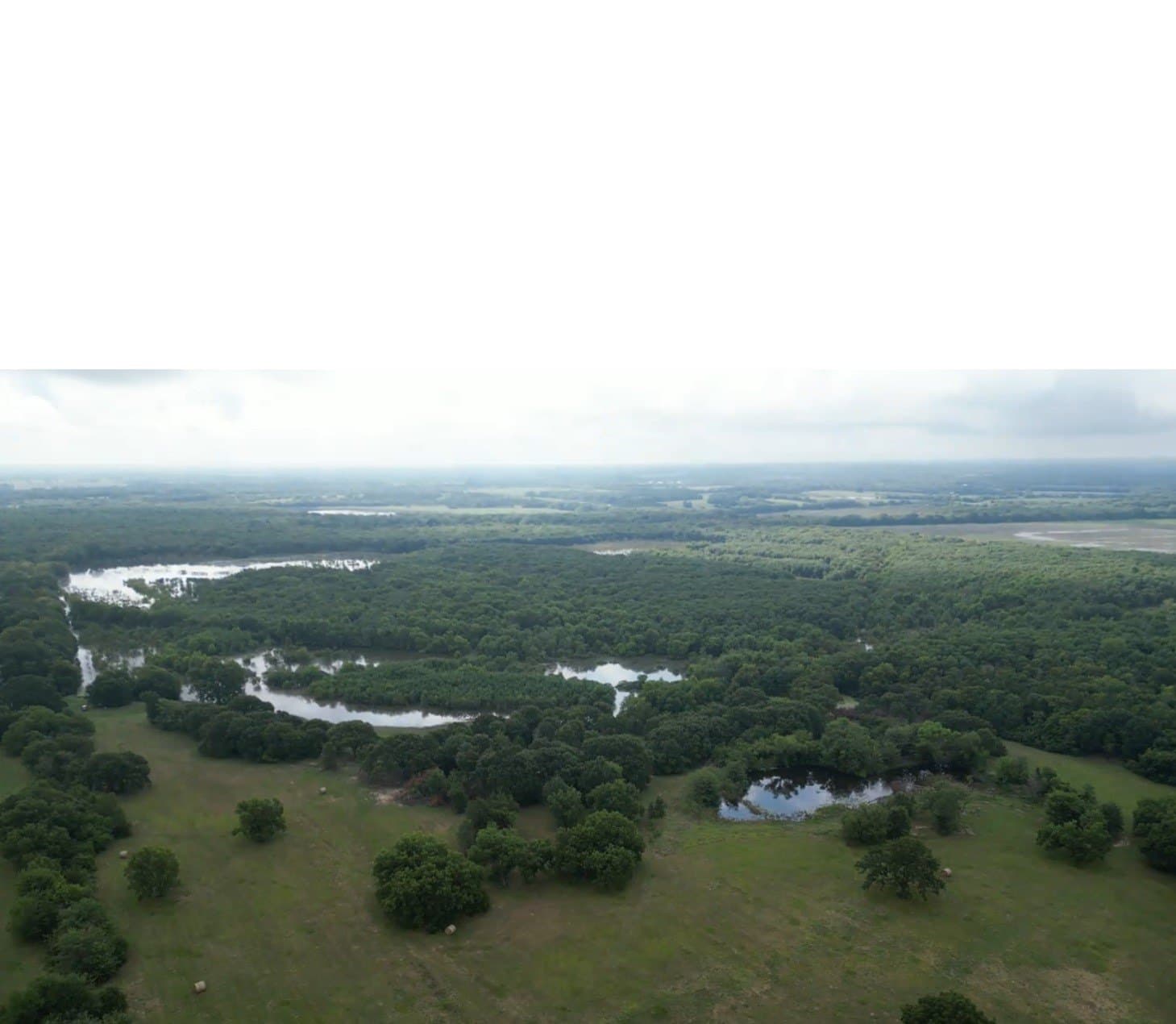 24.08 acres in Fannin County - photo 24
