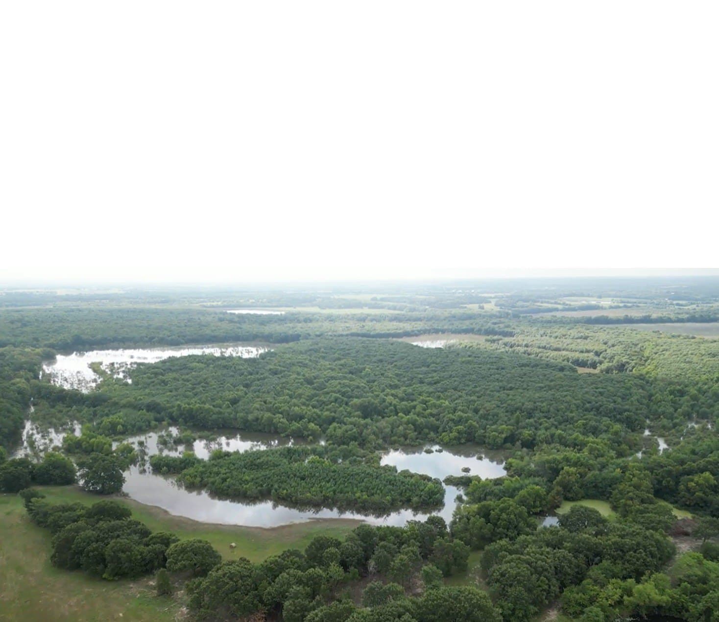 24.08 acres in Fannin County - photo 20
