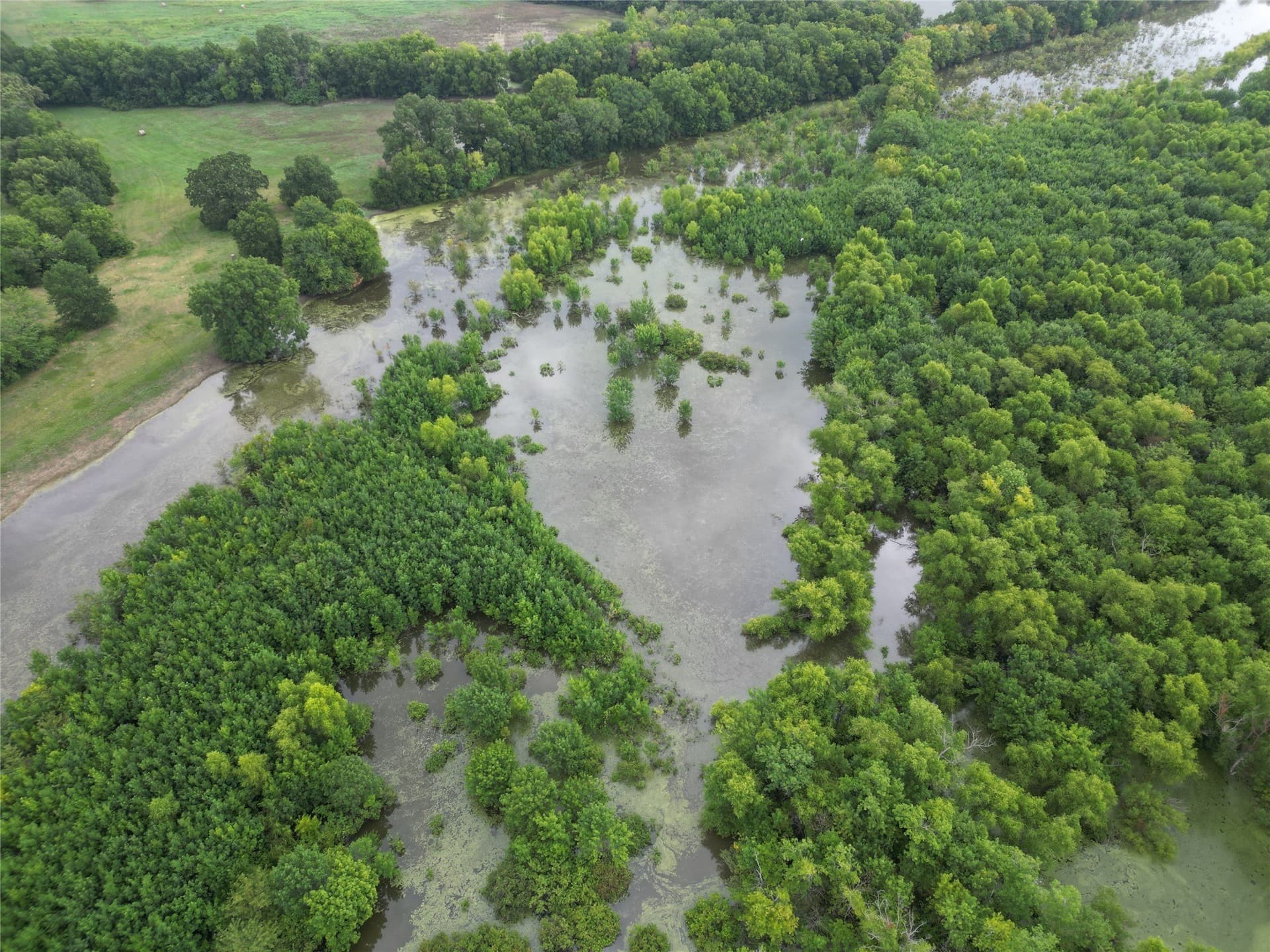 24.08 acres in Fannin County - photo 17