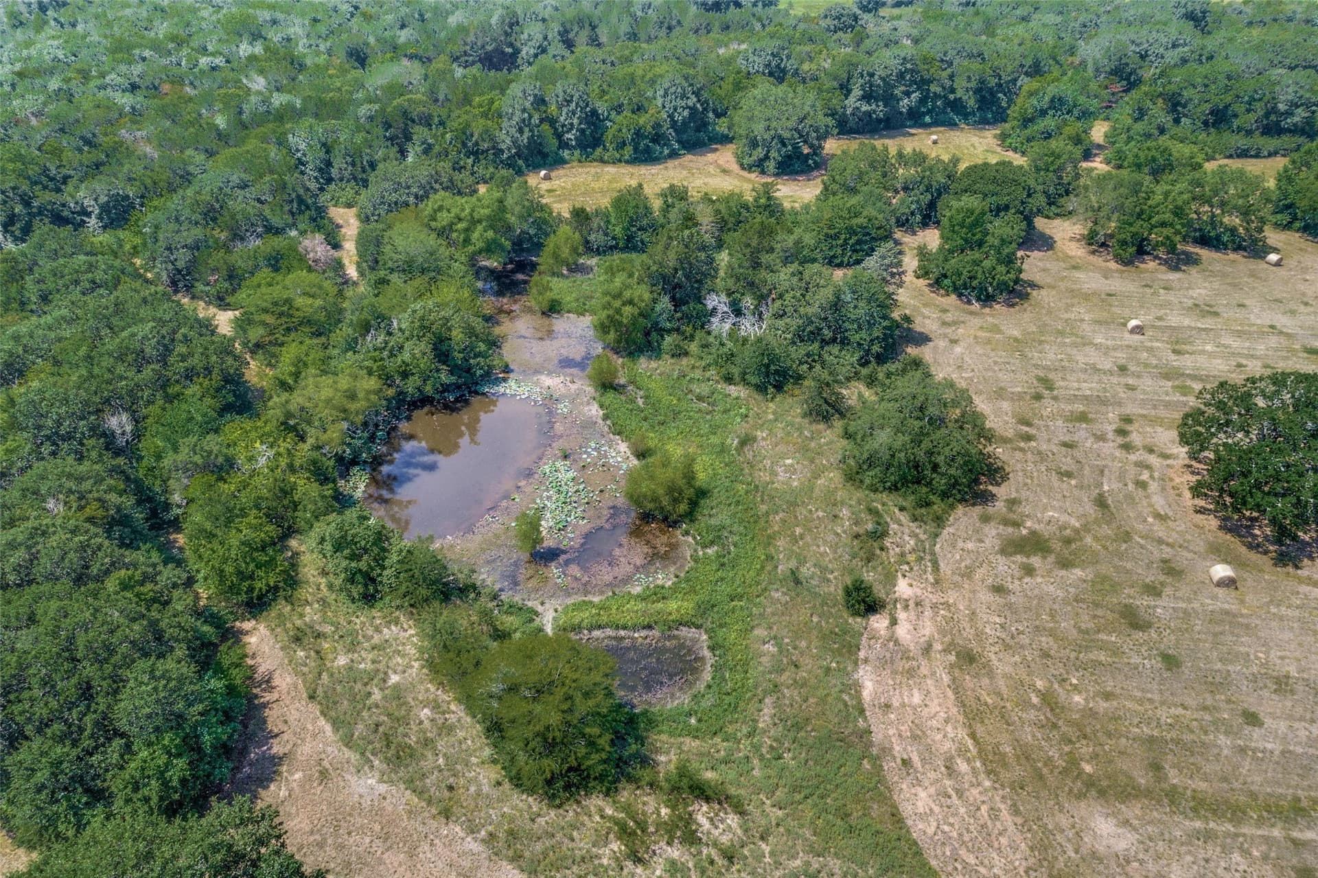 24.08 acres in Fannin County - photo 15