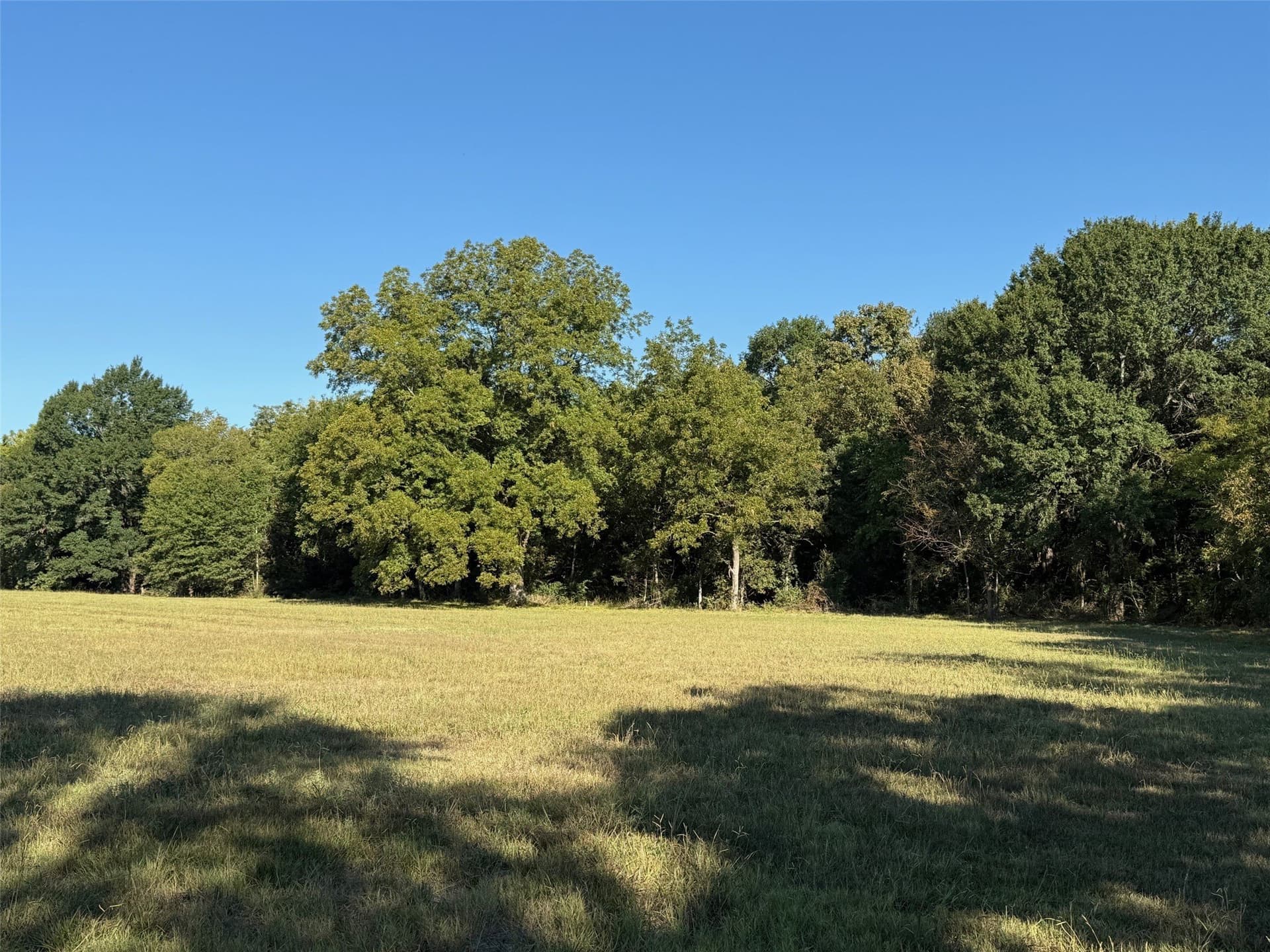 24.08 acres in Fannin County - photo 6
