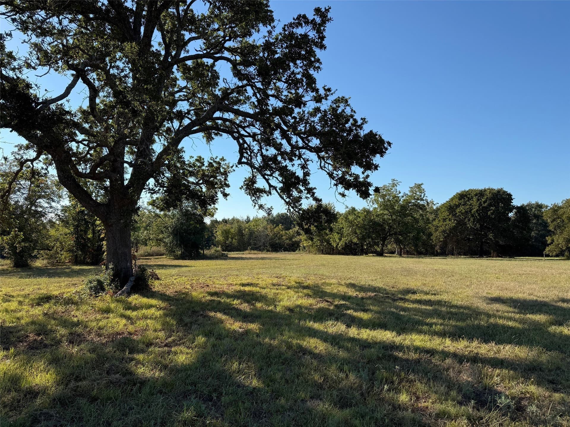 24.08 acres in Fannin County gallery image 2