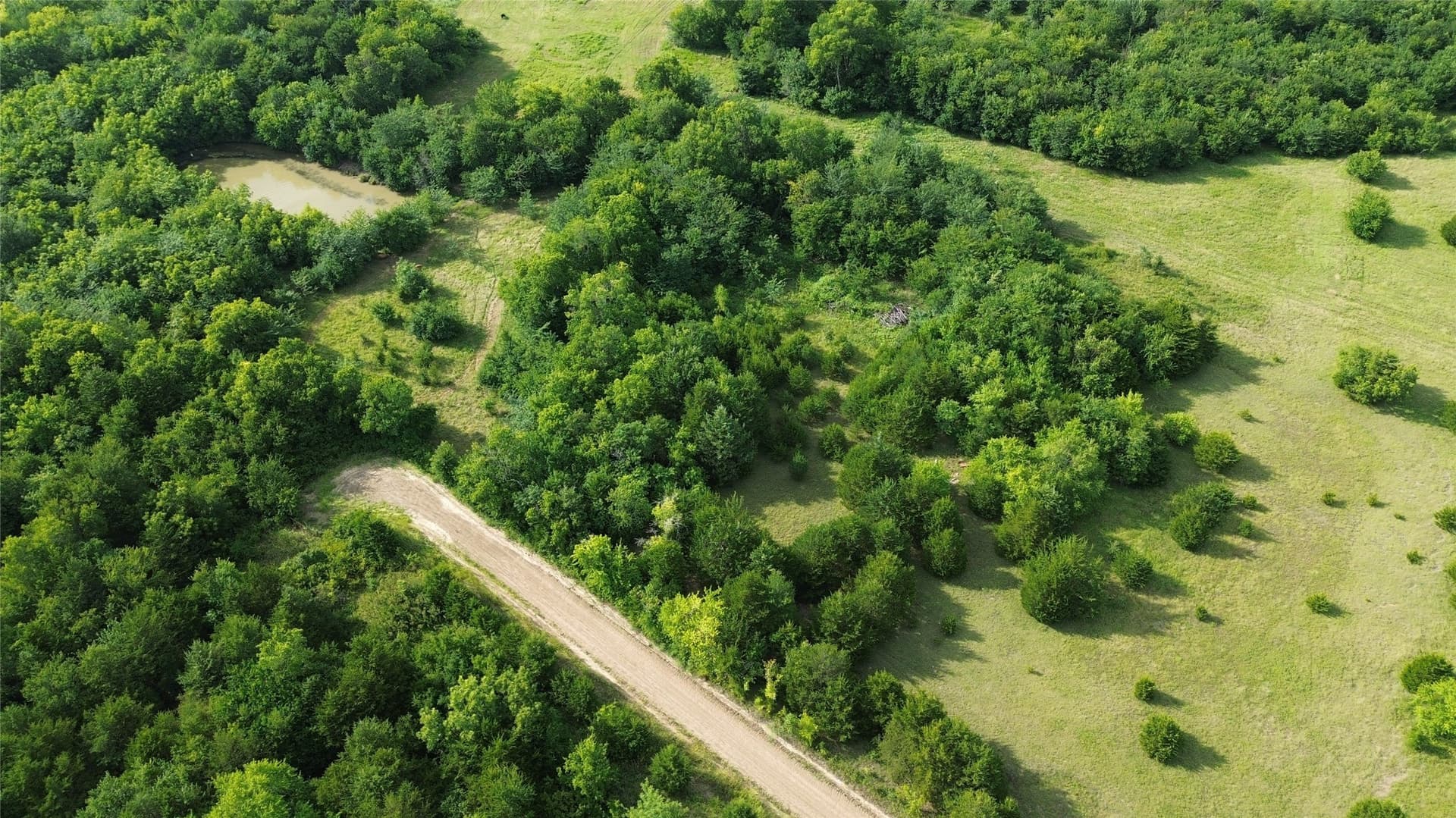 40 acres in Hunt County featured view