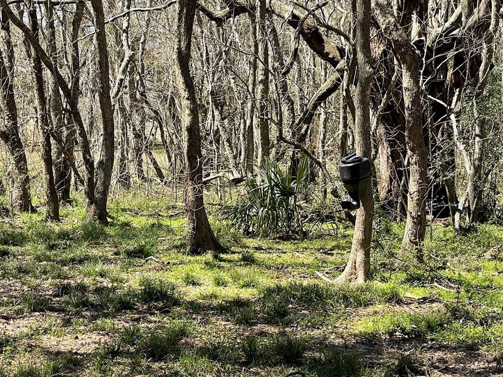 6.36 acres in West Columbia County featured view