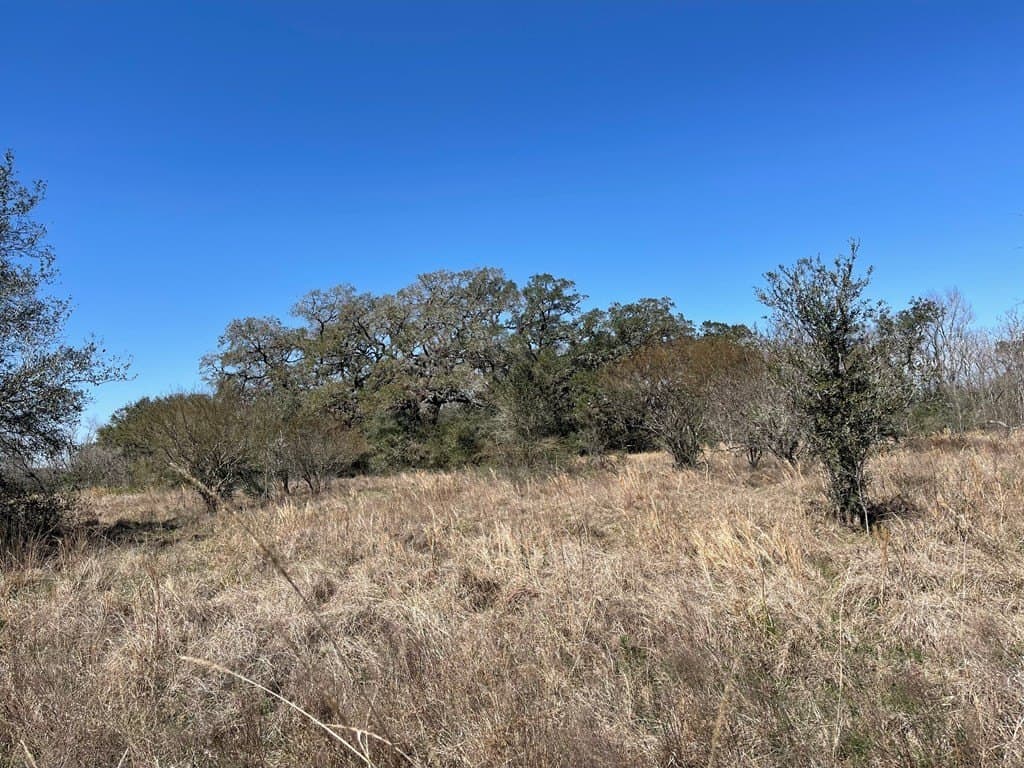 6.36 acres in West Columbia County - photo 8
