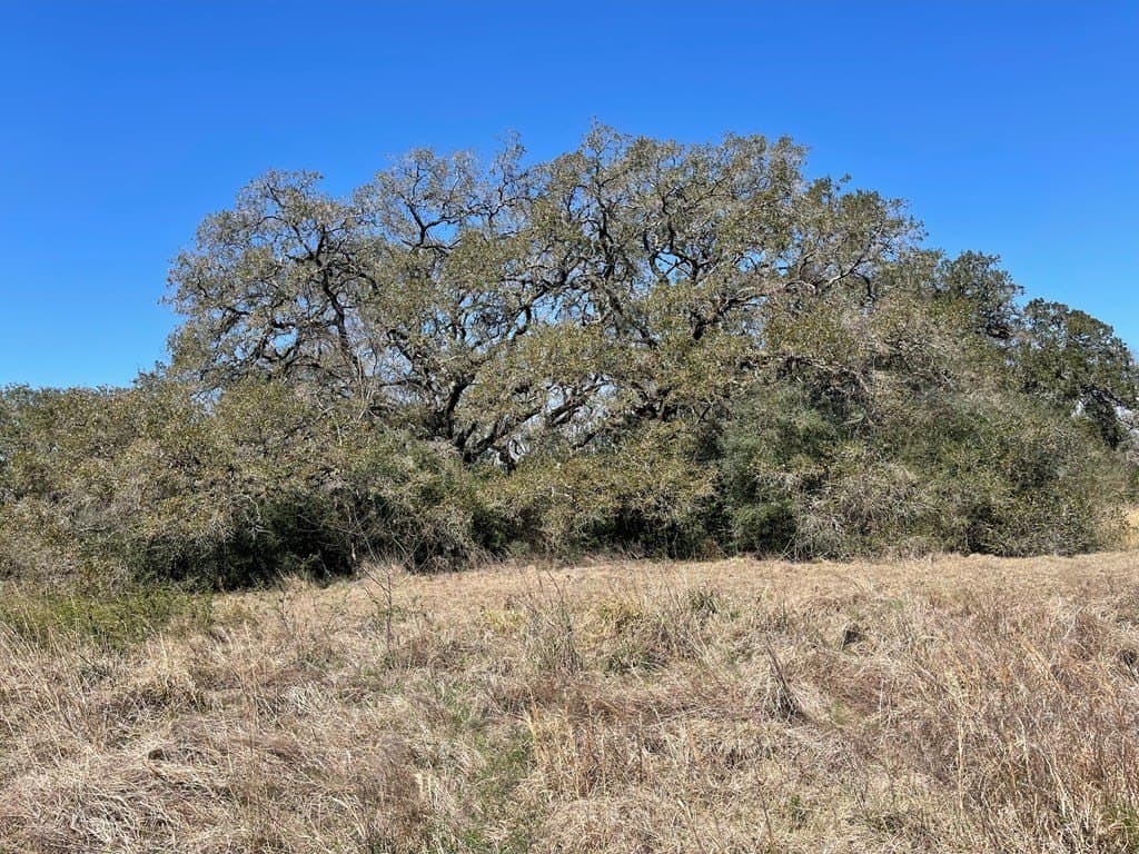 6.36 acres in West Columbia County - photo 6