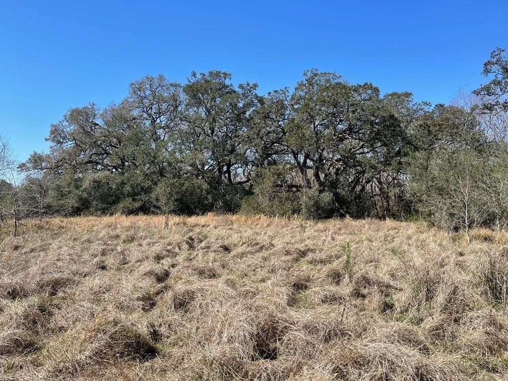 6.36 acres in West Columbia County