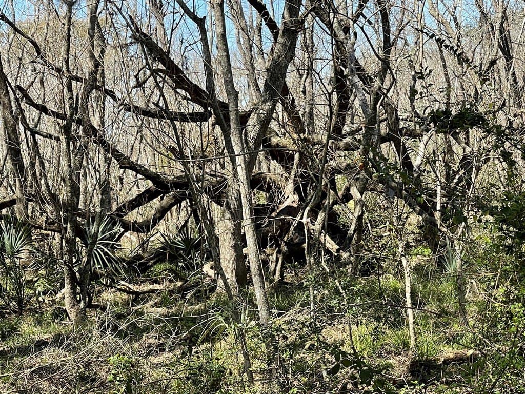 6.36 acres in West Columbia County - photo 7