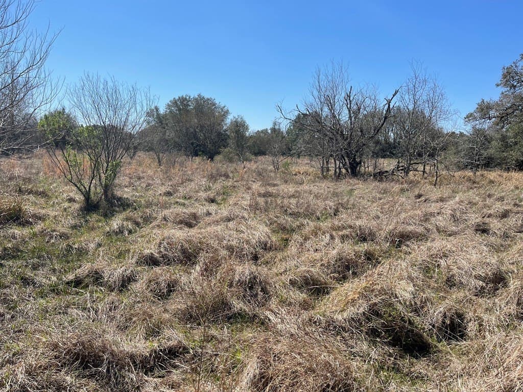 6.36 acres in West Columbia County gallery image 2
