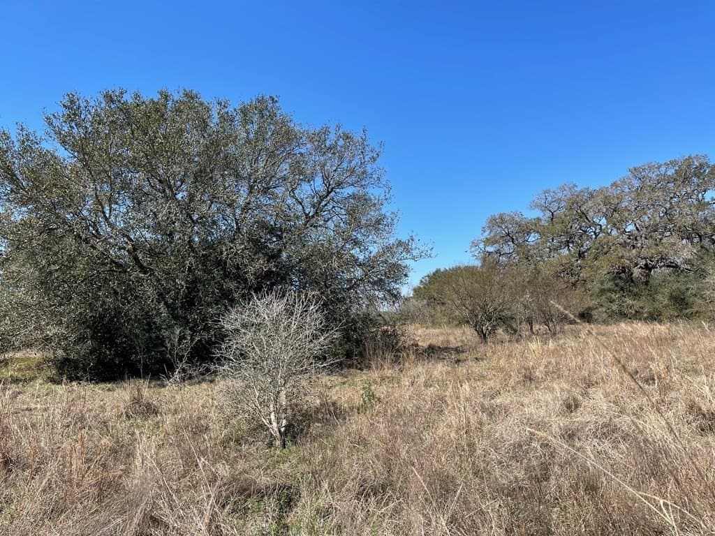 6.36 acres in West Columbia County gallery image 3
