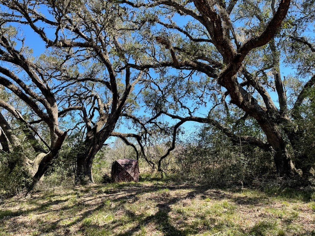 6.36 acres in West Columbia County gallery image 4