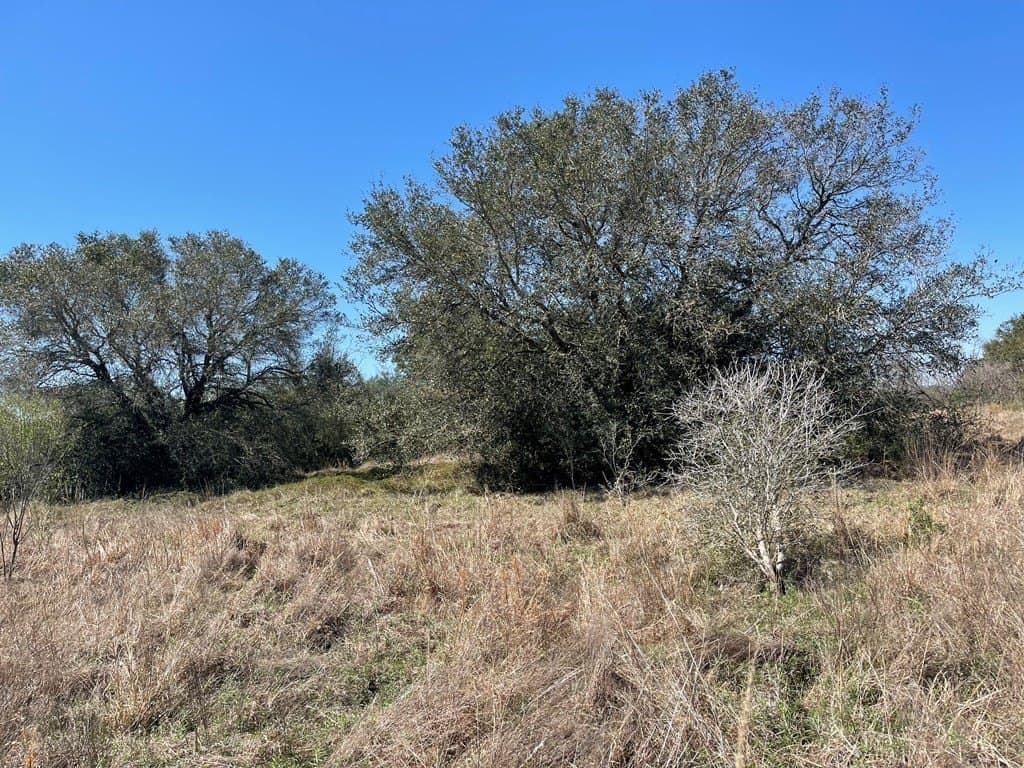 6.36 acres in West Columbia County - photo 9