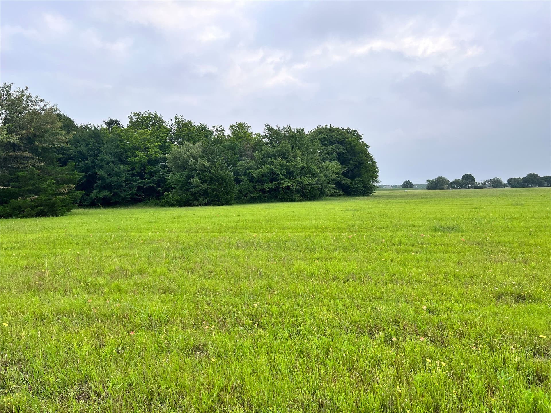 1.18 acres in Navarro County - photo 20
