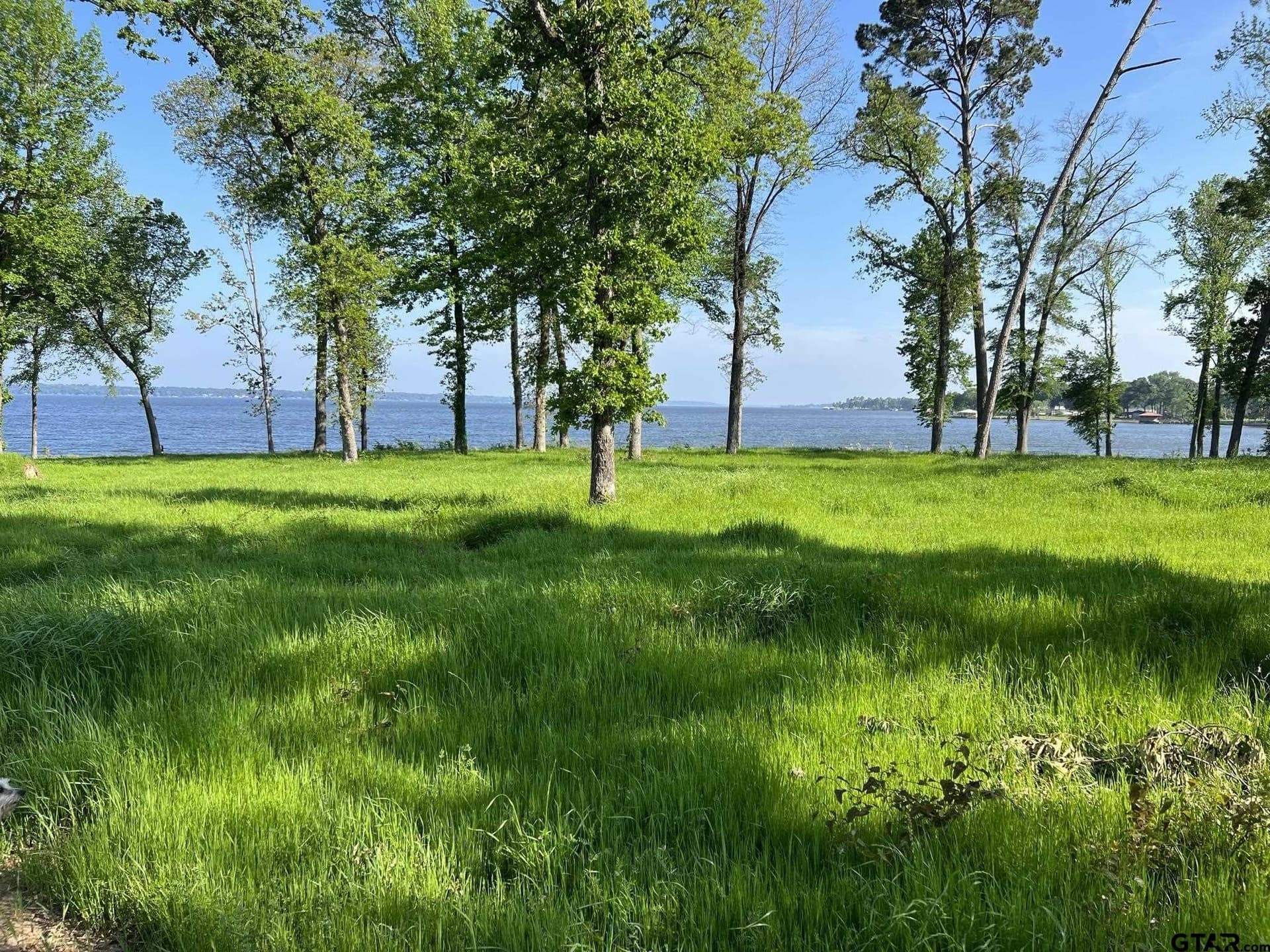 0.89 acres in Henderson County - photo 12