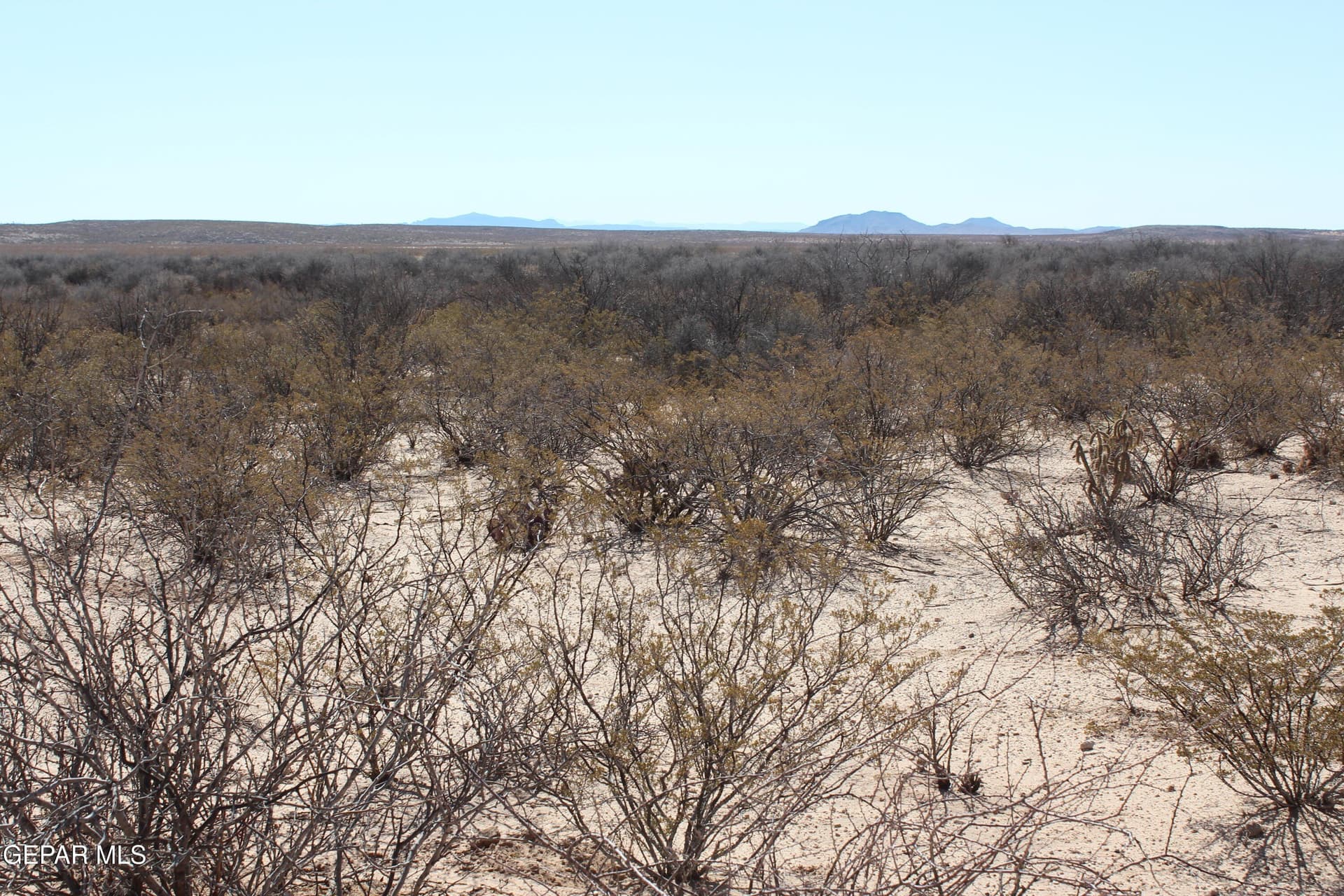 49 acres in Culberson County - photo 7
