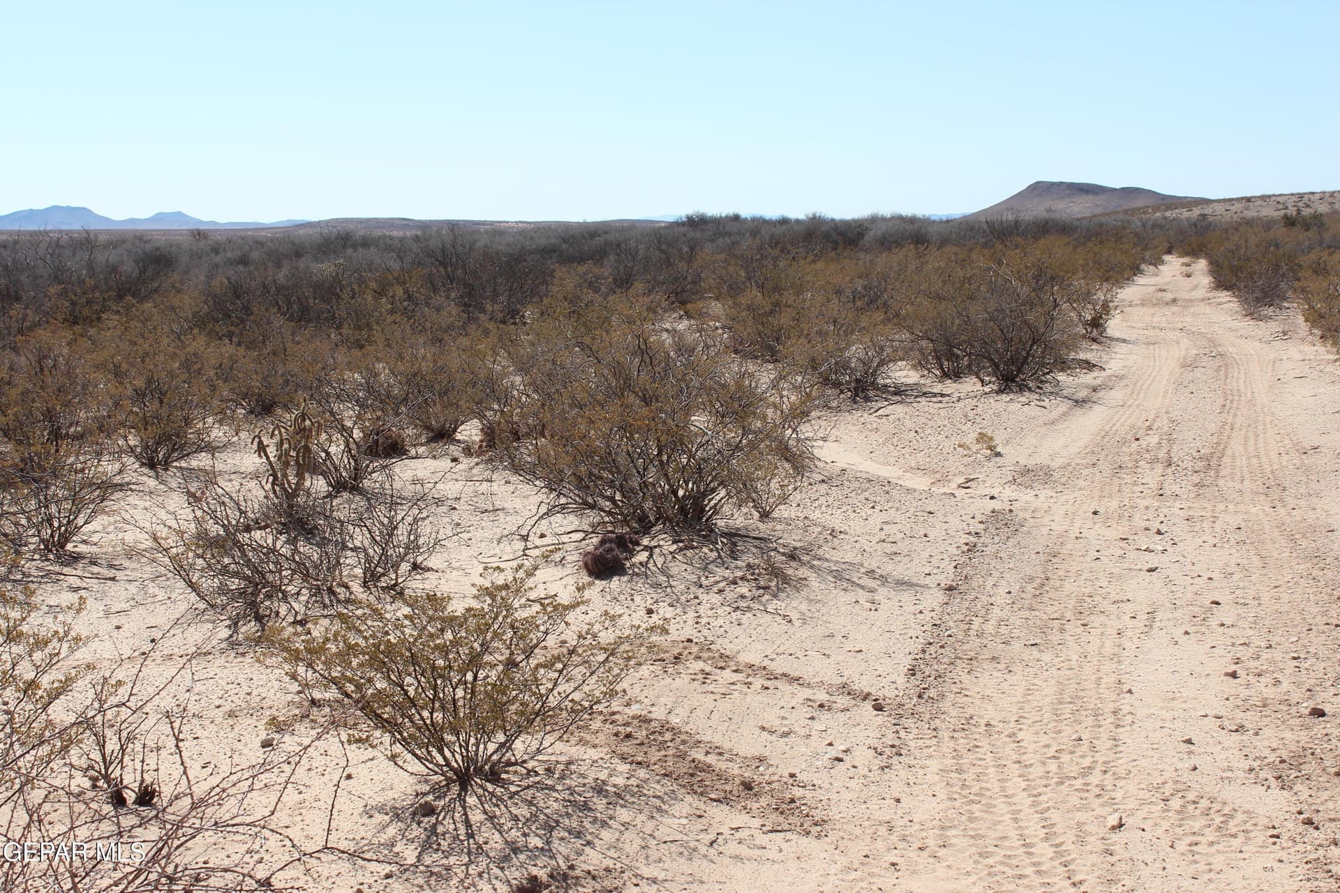 49 acres in Culberson County - photo 8