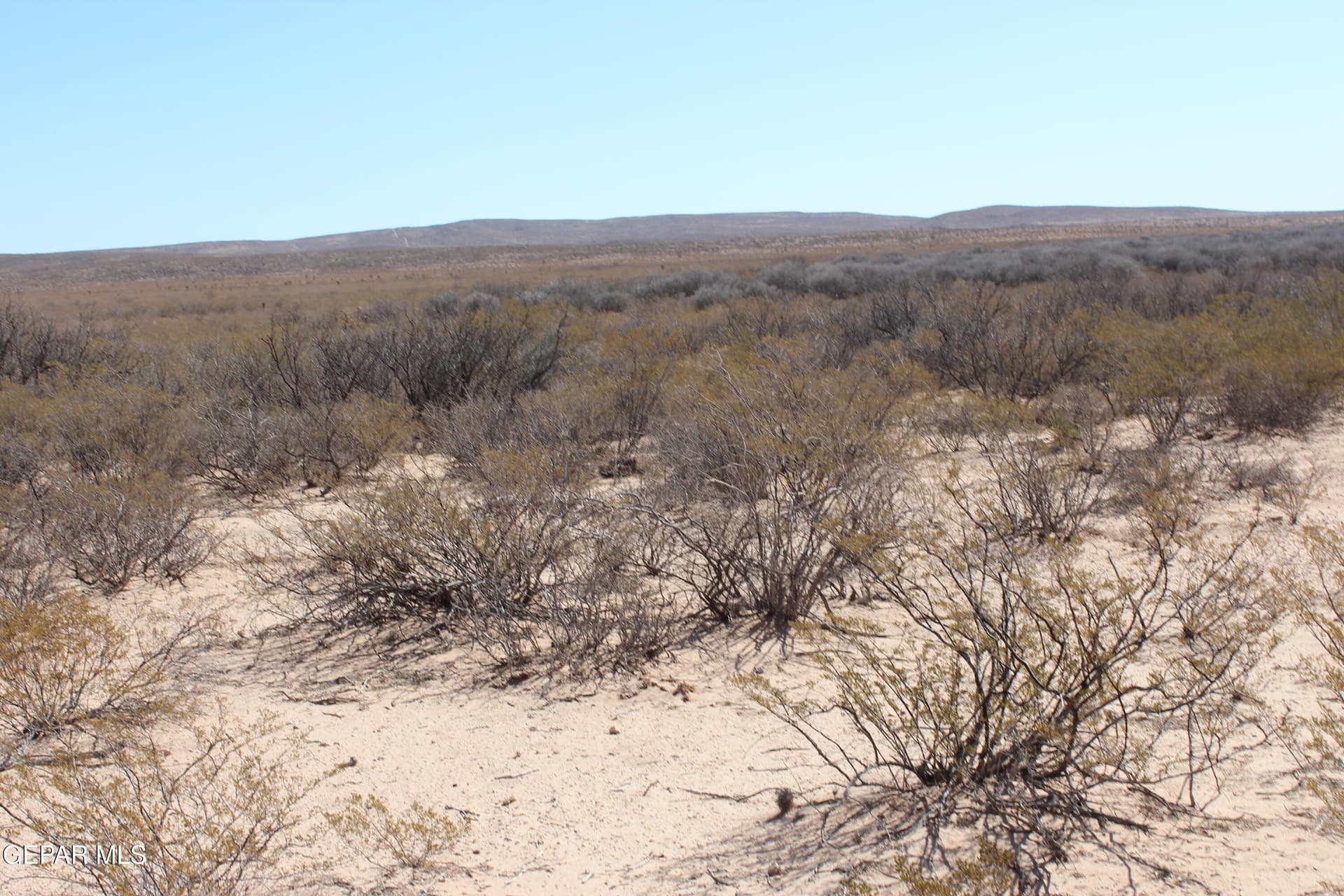 49 acres in Culberson County - photo 6