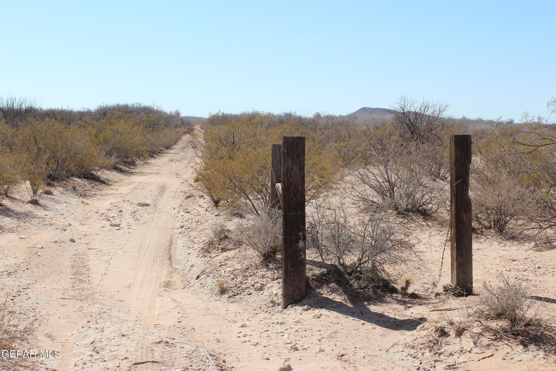 49 acres in Culberson County featured view