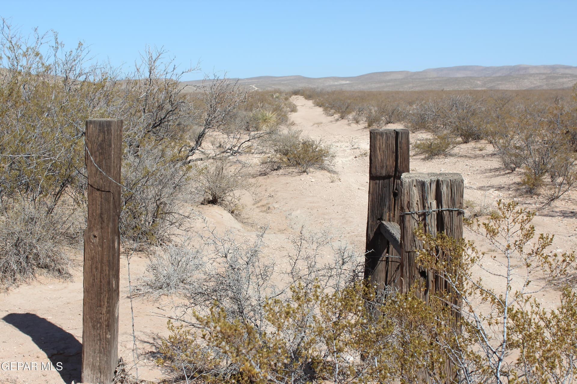 49 acres in Culberson County gallery image 4