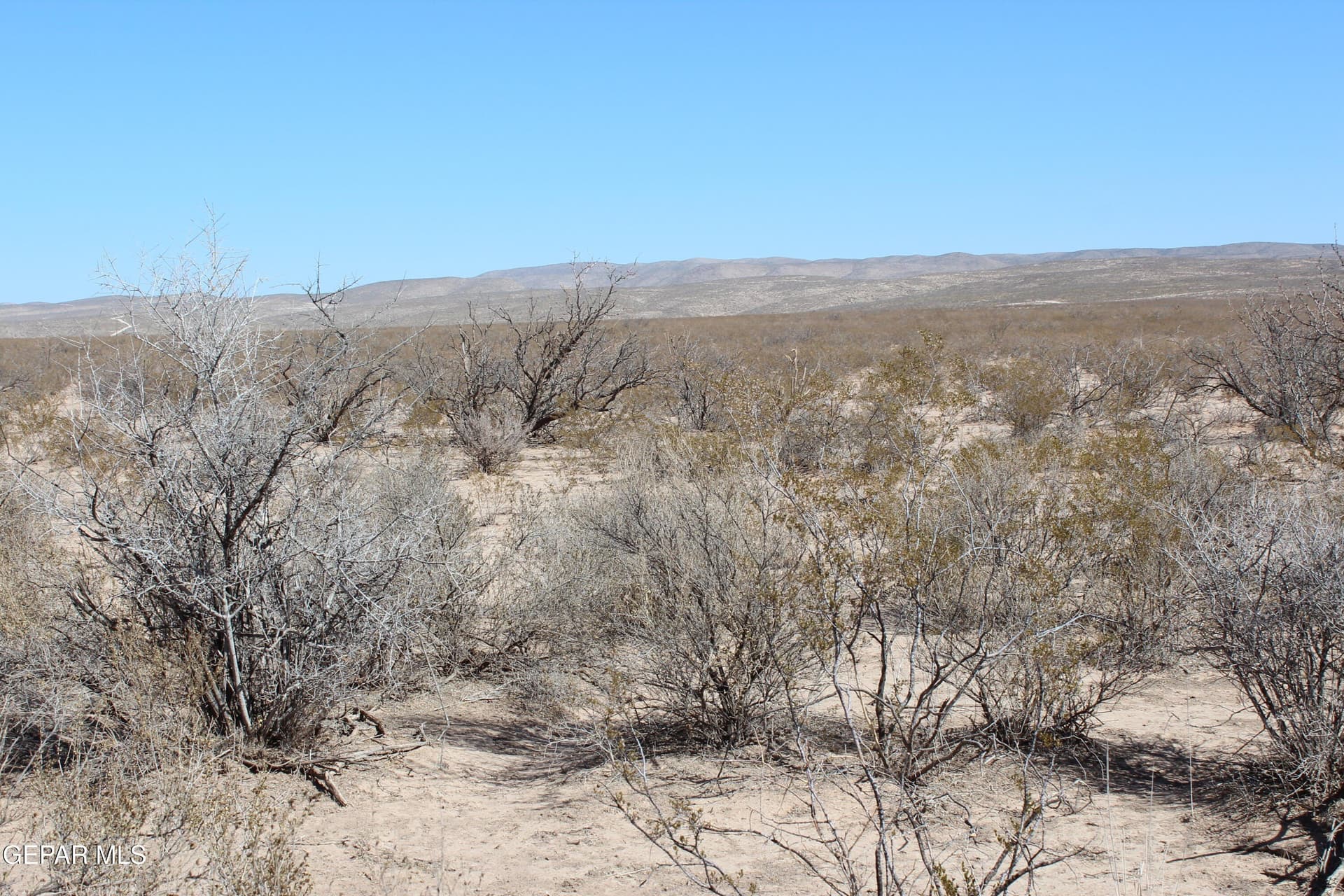 49 acres in Culberson County gallery image 3