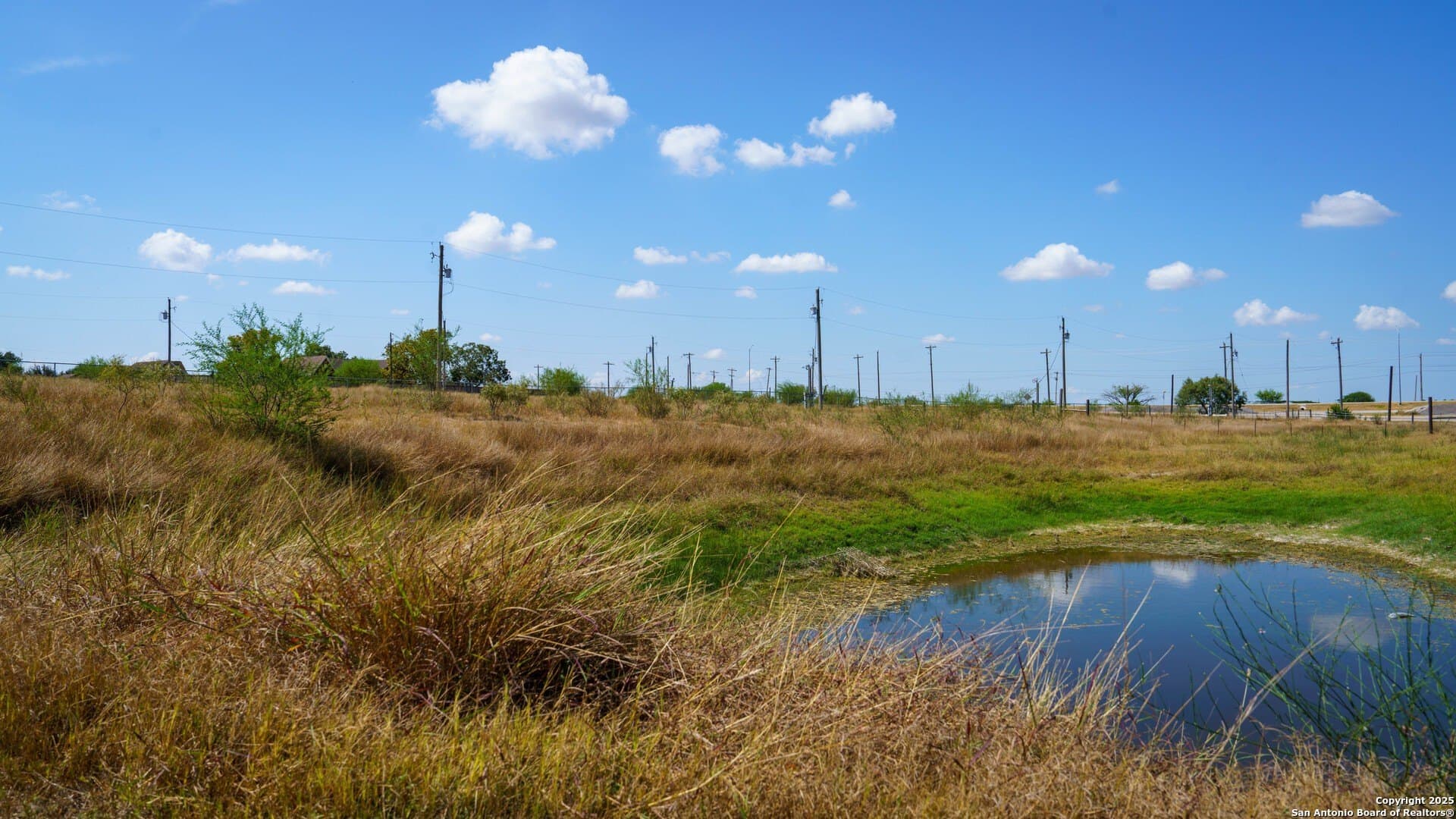 12.1 acres in Karnes County - photo 34