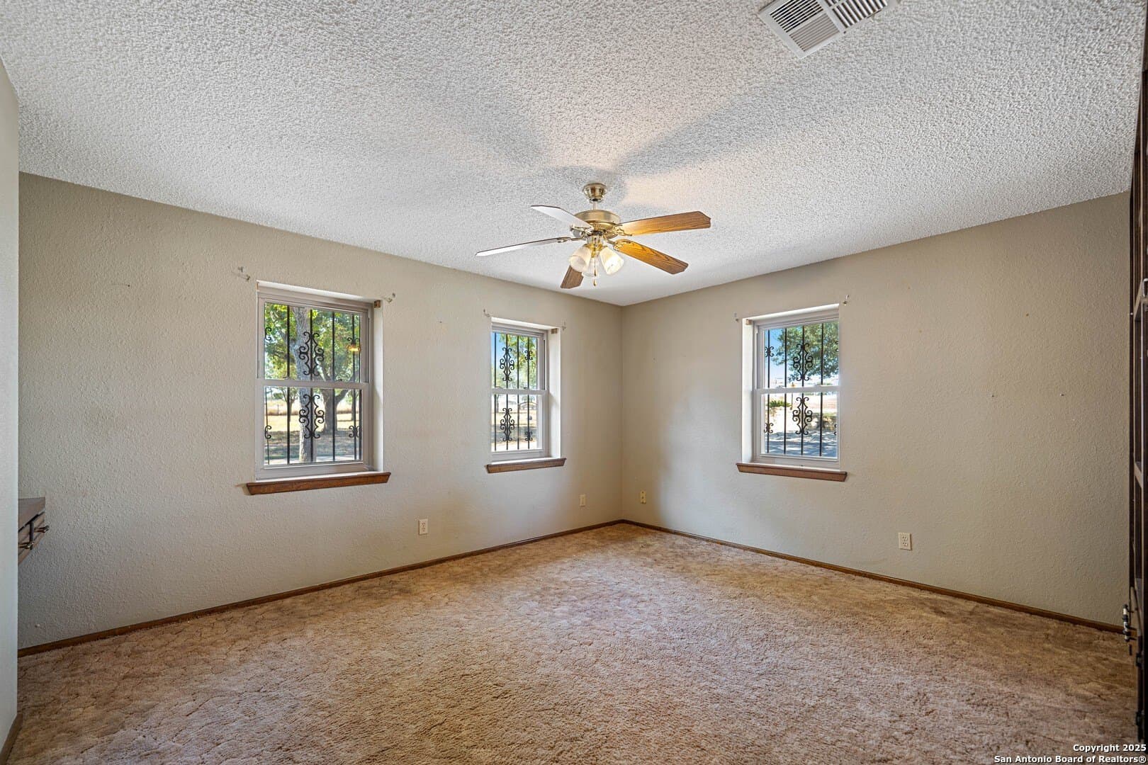 12.1 acres in Karnes County - photo 23