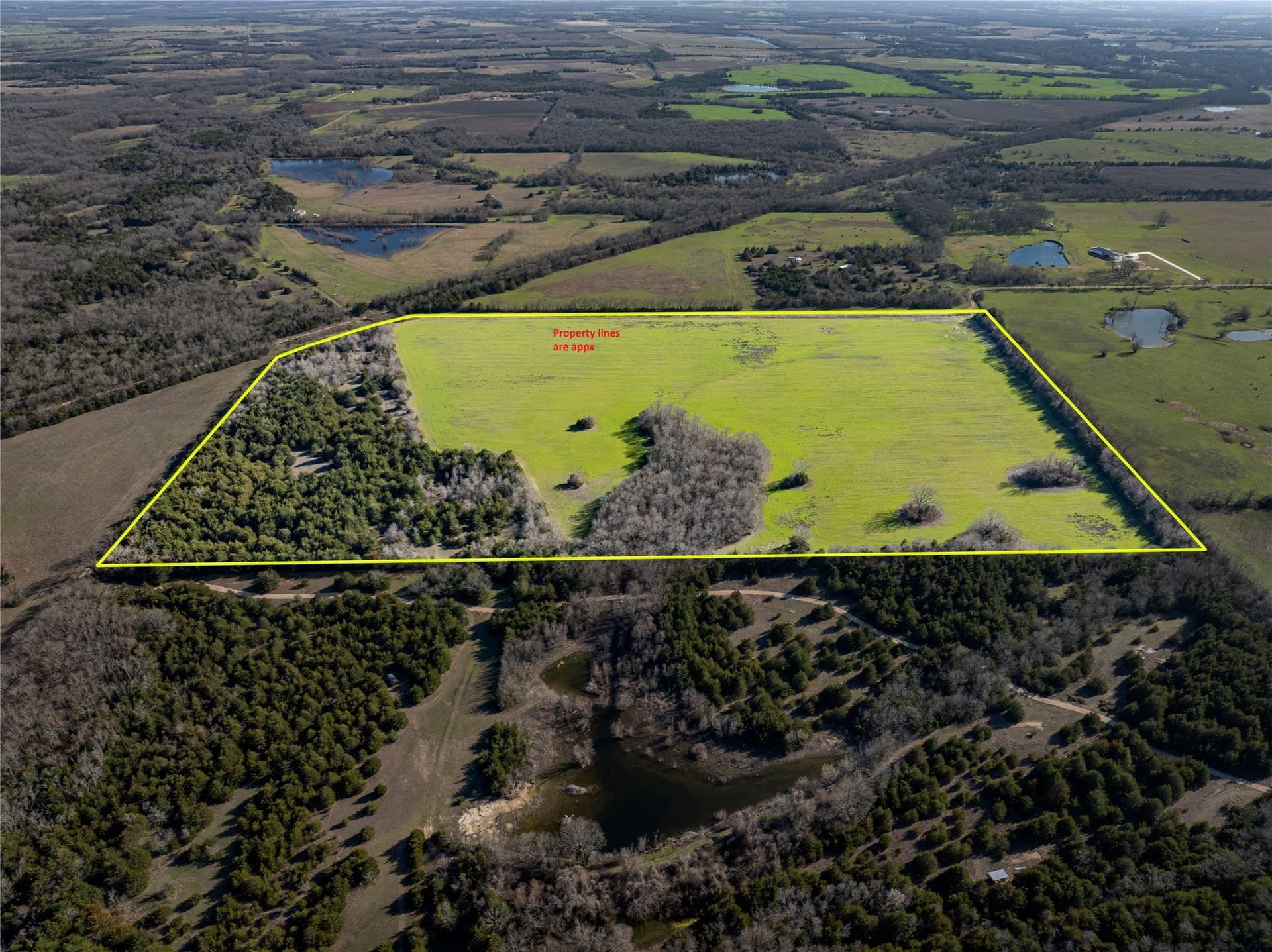 60 acres in Lamar County