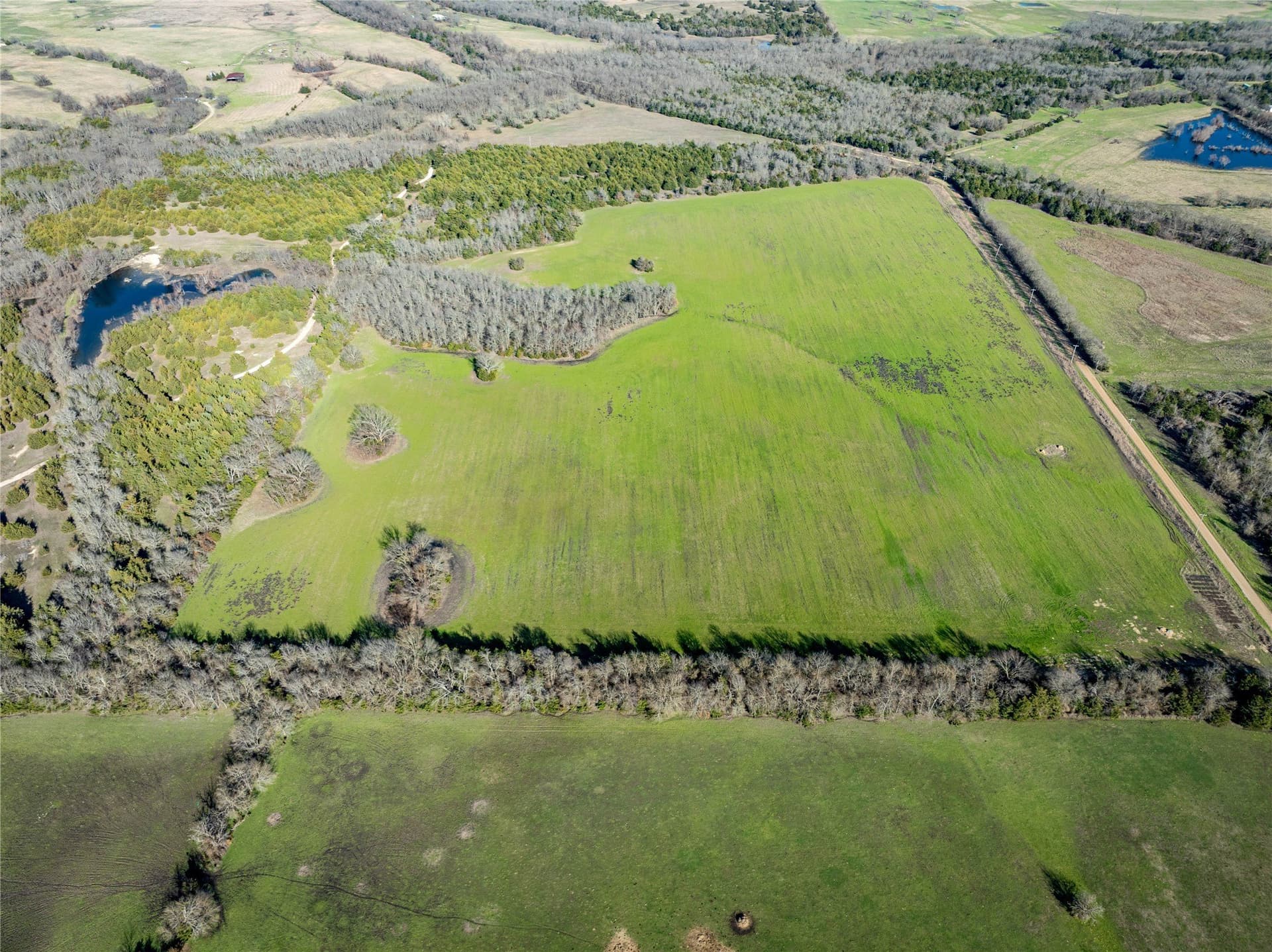 60 acres in Lamar County - photo 2