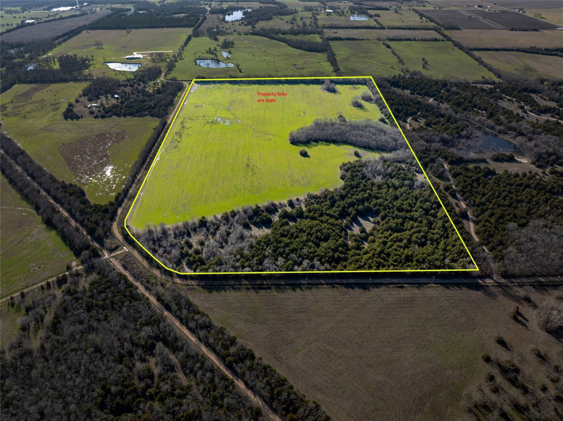 60 acres in Lamar County - photo 23