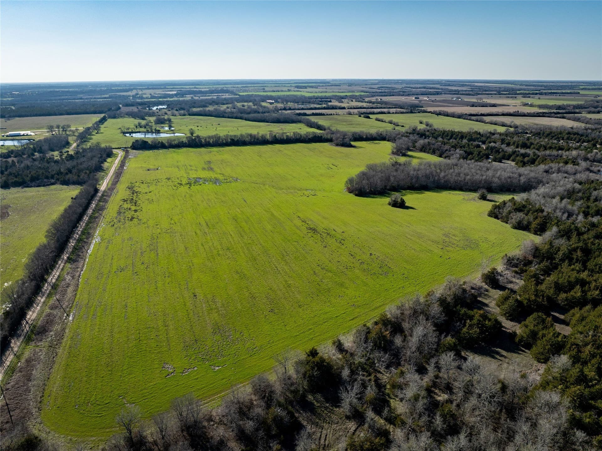 60 acres in Lamar County - photo 10